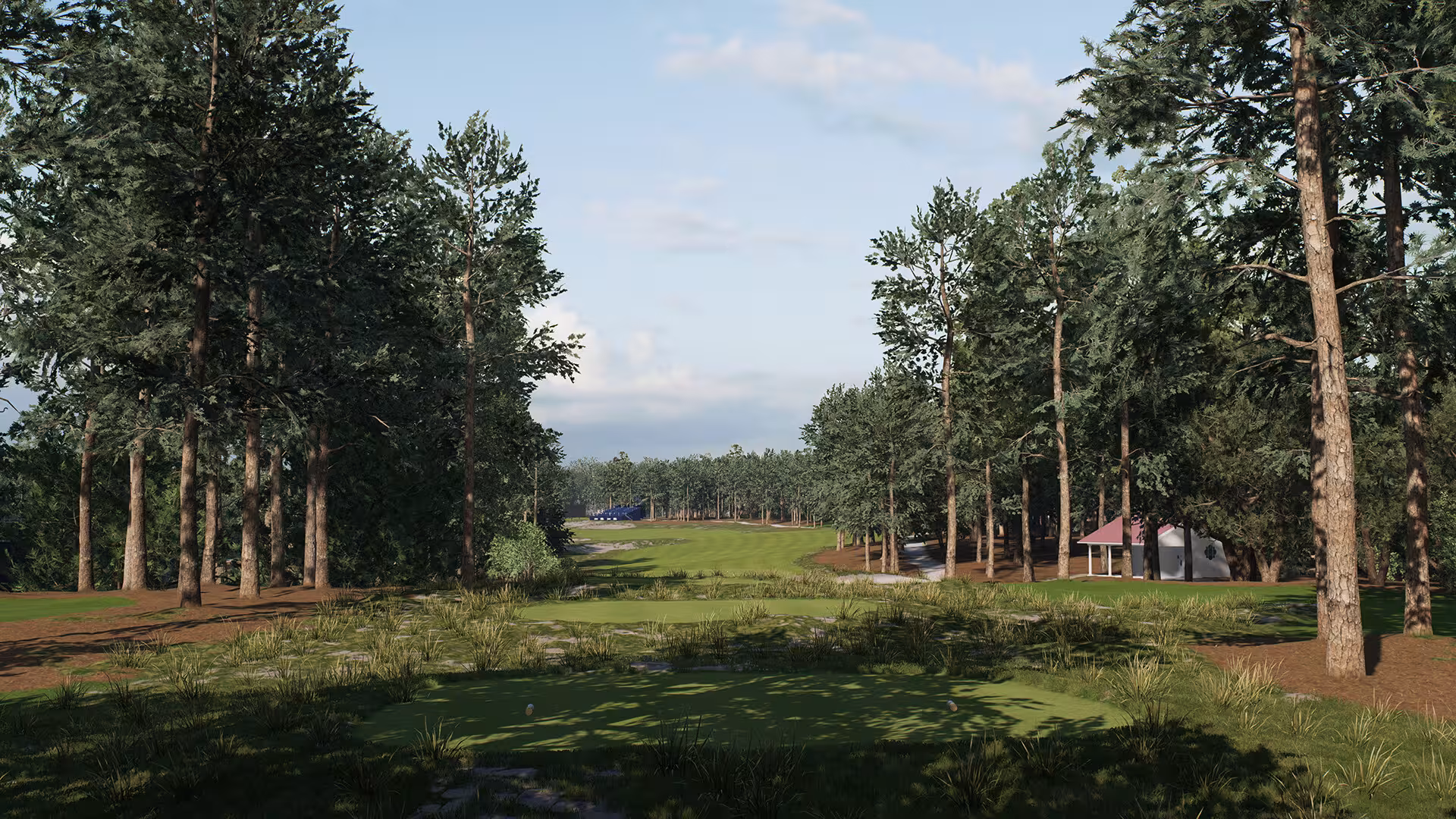 美国职业高尔夫巡回赛-虚拟机版/EA SPORTS PGA TOUR HYPERVISOR-3 美国职业高尔夫巡回赛-虚拟机版/EA SPORTS PGA TOUR HYPERVISOR-3
