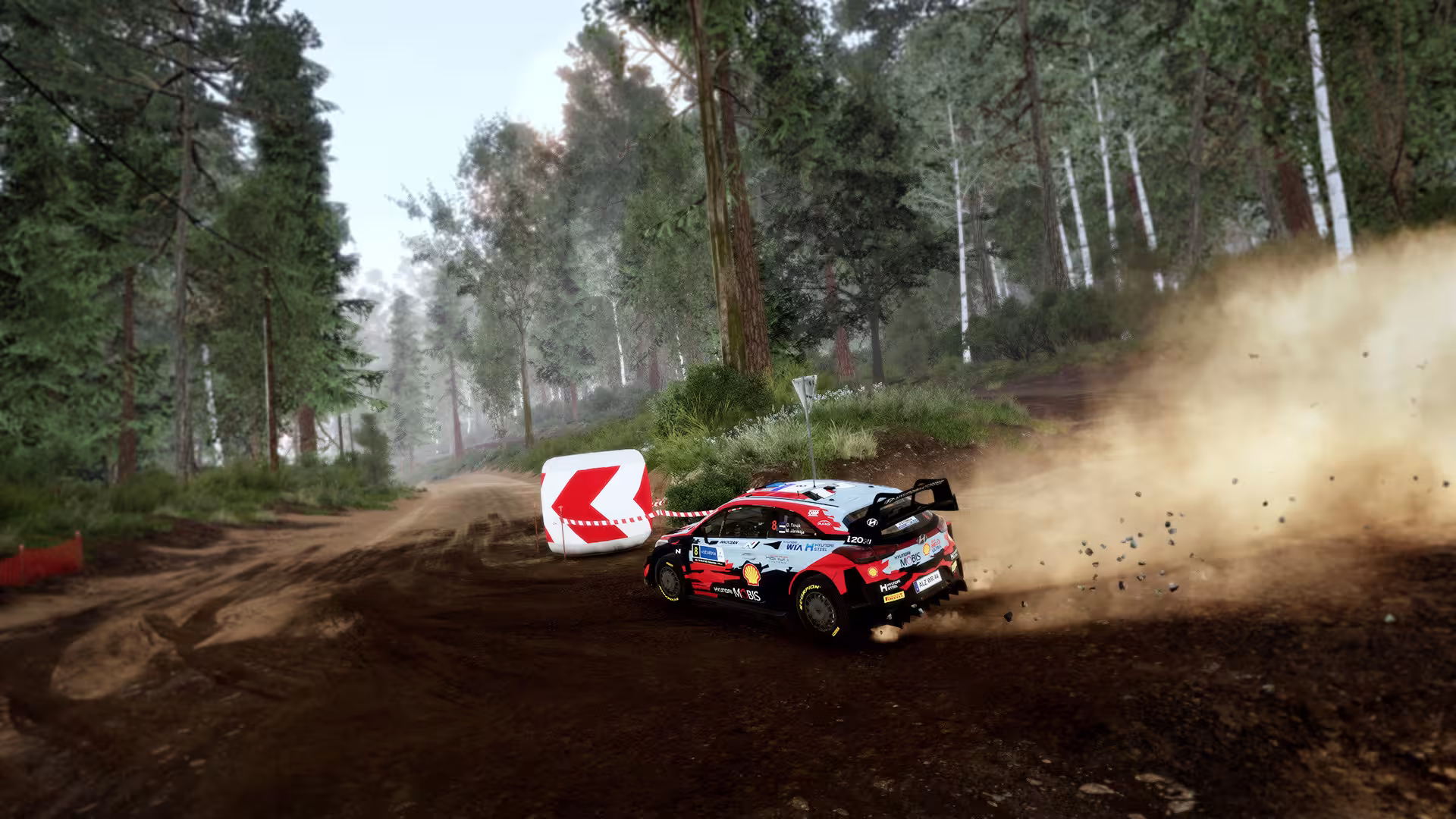 世界汽车拉力锦标赛10/WRC 10 FIA World Rally Championship-5