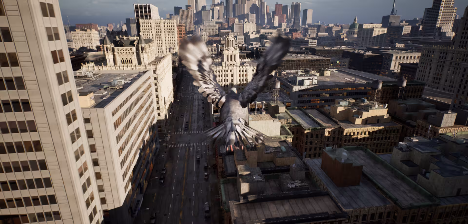 鸽子飞行模拟器/Pigeon Flight Simulator-2 鸽子飞行模拟器/Pigeon Flight Simulator-2