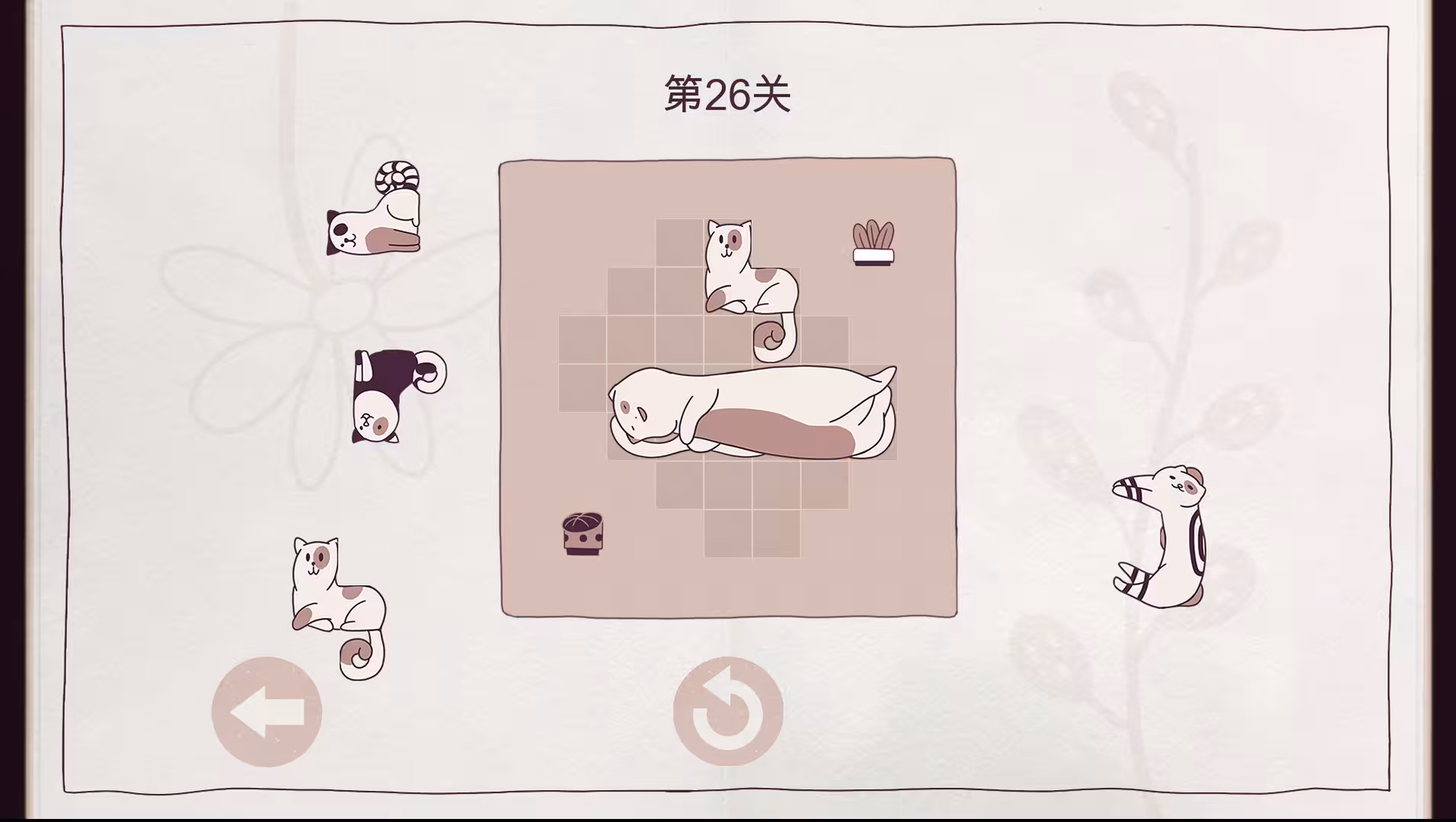 井然有猫/Cats Organized Neatly-2
