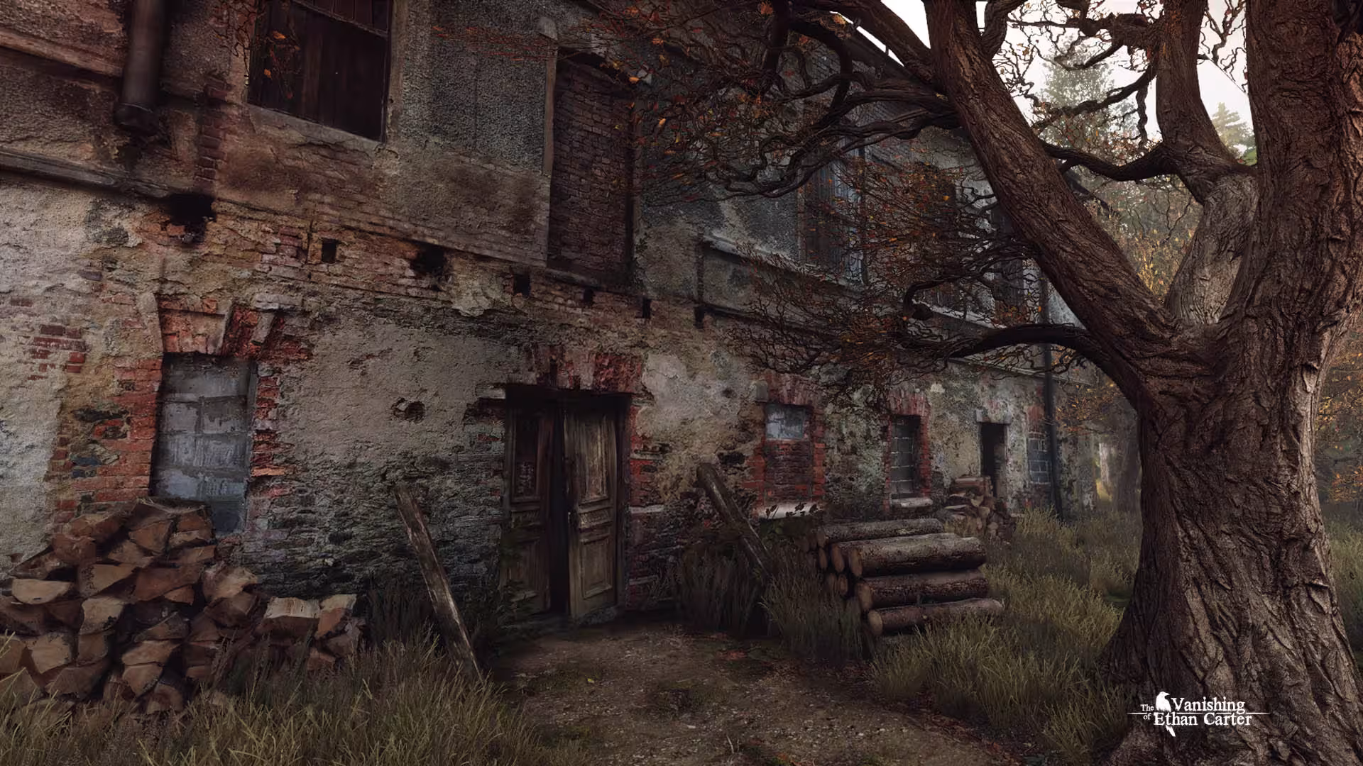 伊森卡特的消失/The Vanishing of Ethan Carter-2 伊森卡特的消失/The Vanishing of Ethan Carter-2
