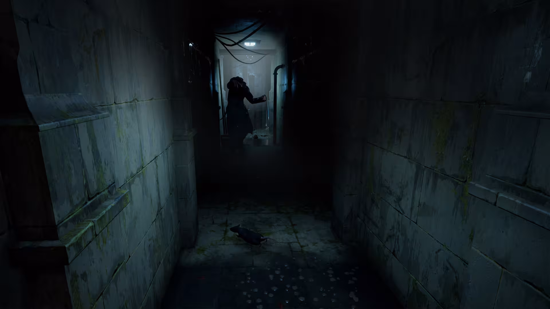 恐怖故事:葡萄酒/HORROR TALES: The Wine-2 恐怖故事:葡萄酒/HORROR TALES: The Wine-2