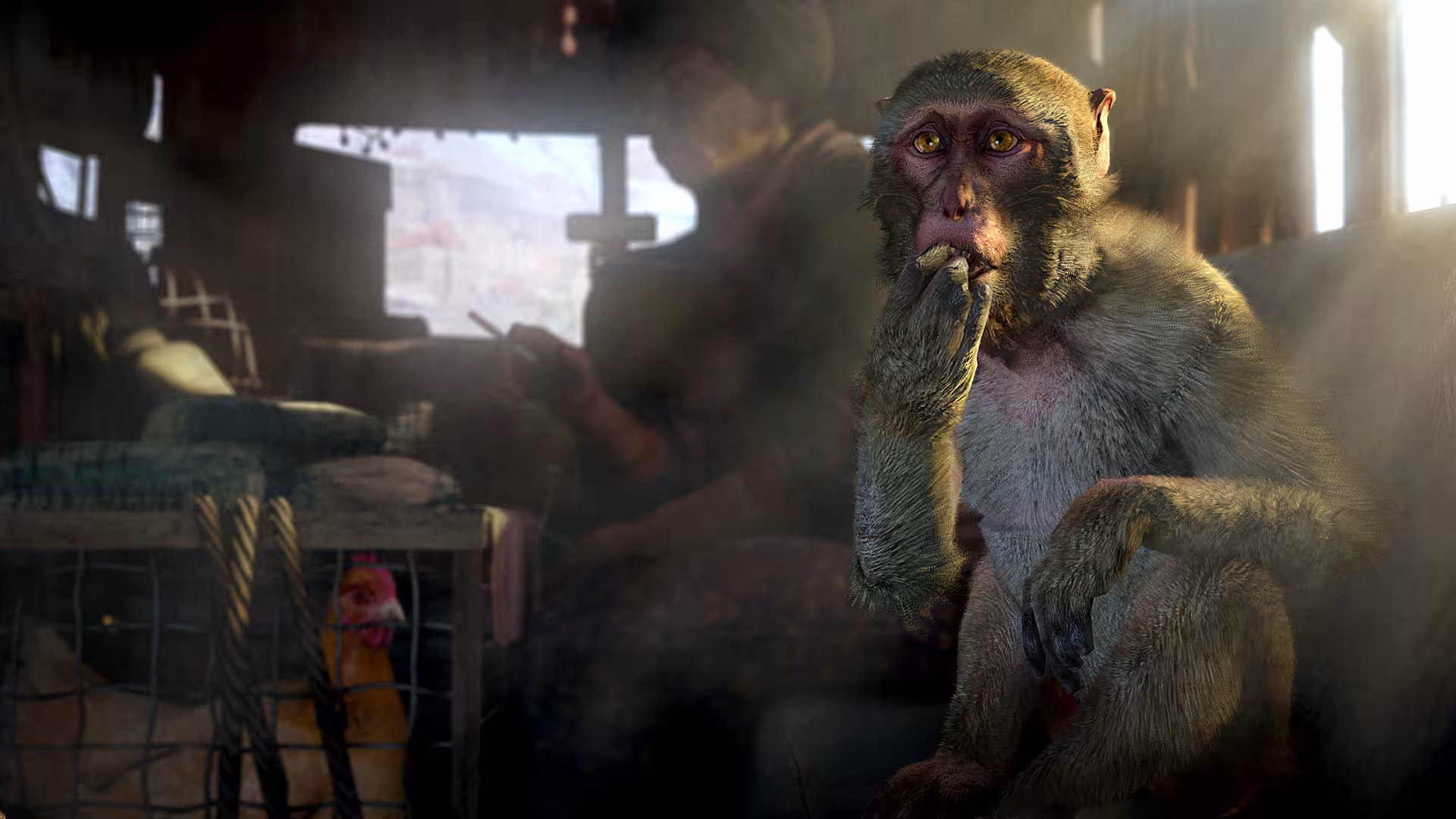 孤岛惊魂4/Far Cry 4-3 孤岛惊魂4/Far Cry 4-3