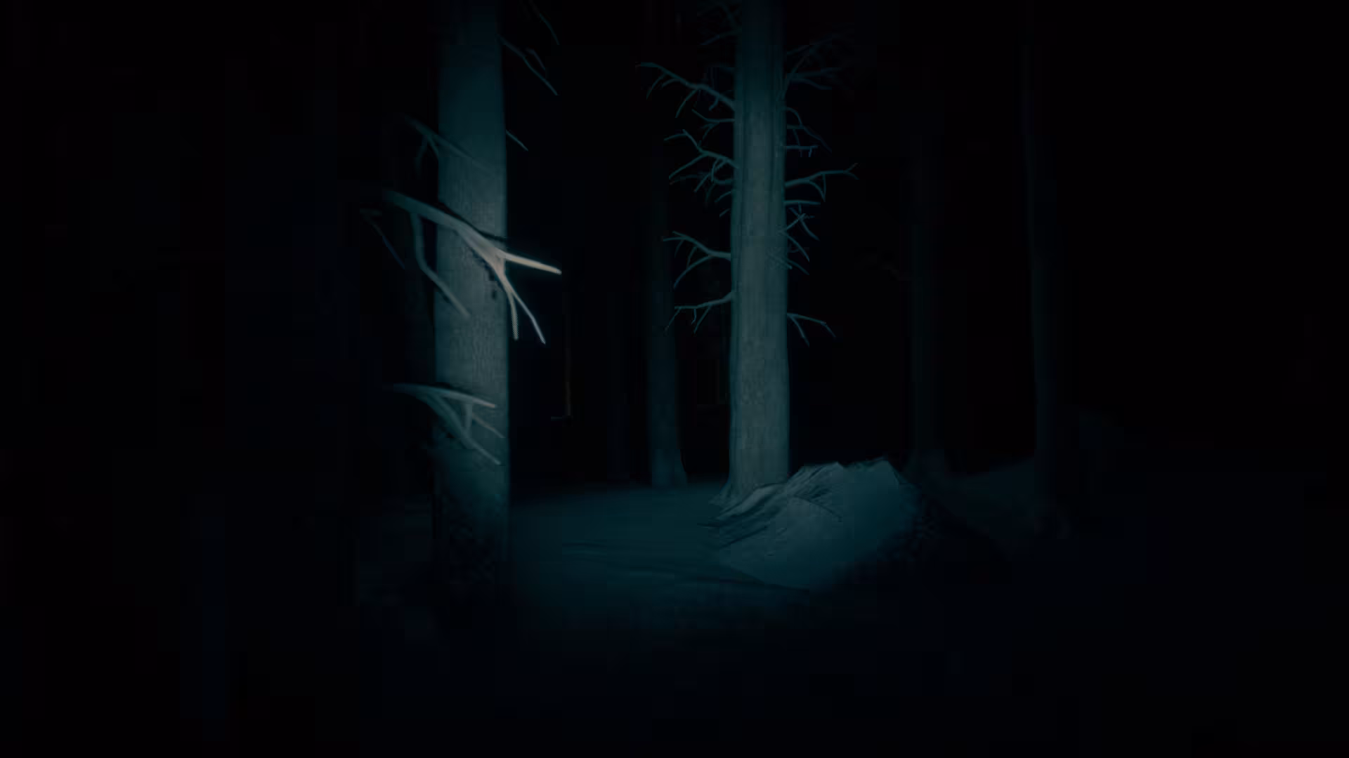 最后的滑雪之旅/The Last Ski Trip-3 最后的滑雪之旅/The Last Ski Trip-3