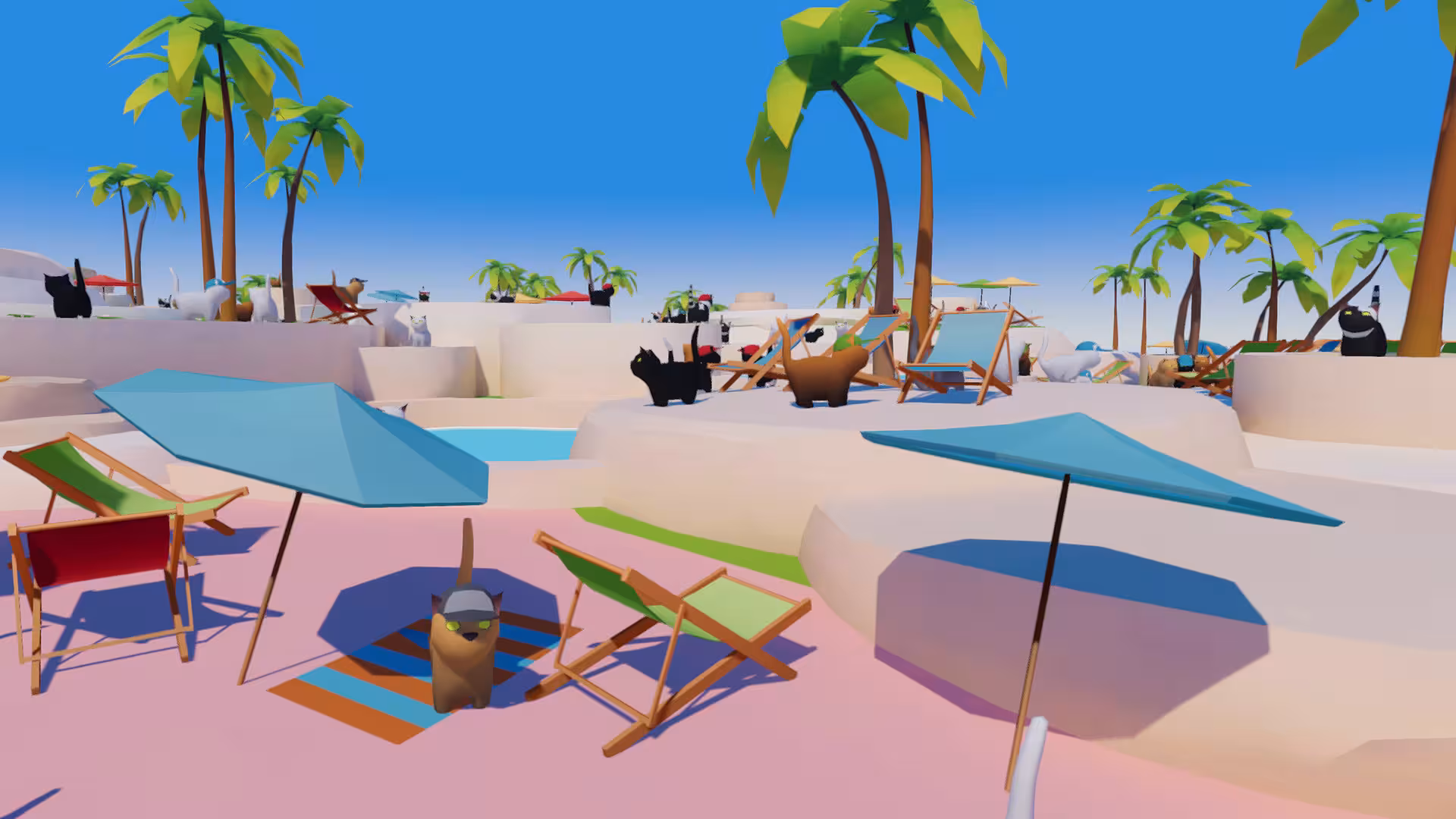 夏日之爪/夏日寻猫/Summer Paws-5 夏日之爪/夏日寻猫/Summer Paws-5