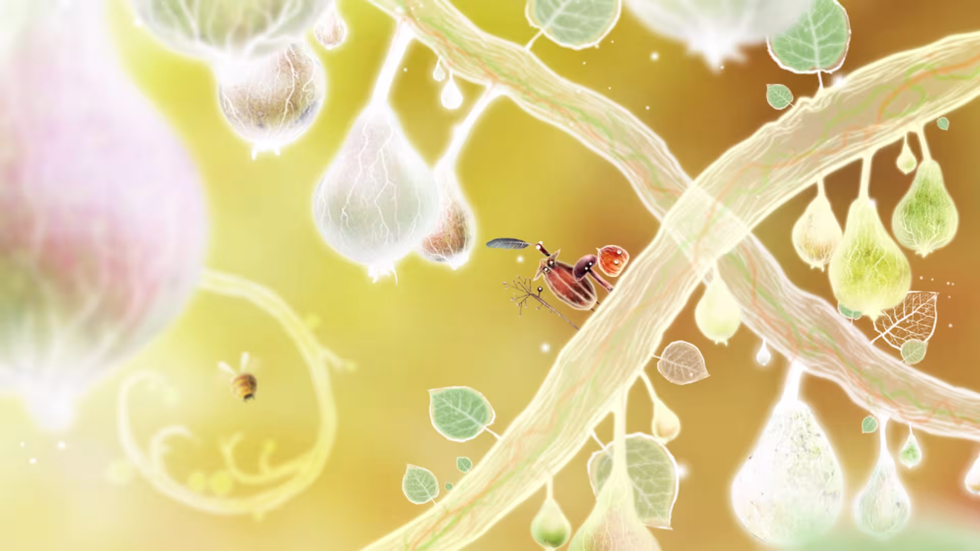 植物精灵/Botanicula-5 植物精灵/Botanicula-5