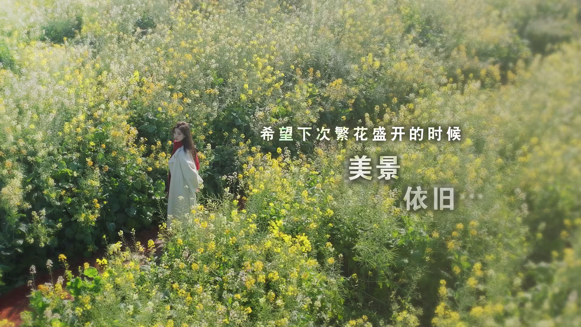 这个是真的喜欢!/I've Fallen For You!-1 这个是真的喜欢!/I've Fallen For You!-1
