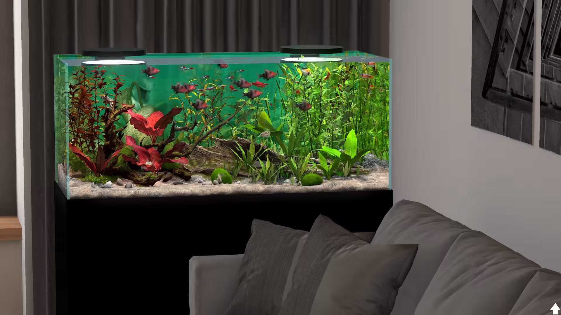玻璃背后：水族馆模拟器/Behind Glass: Aquarium Simulator-3