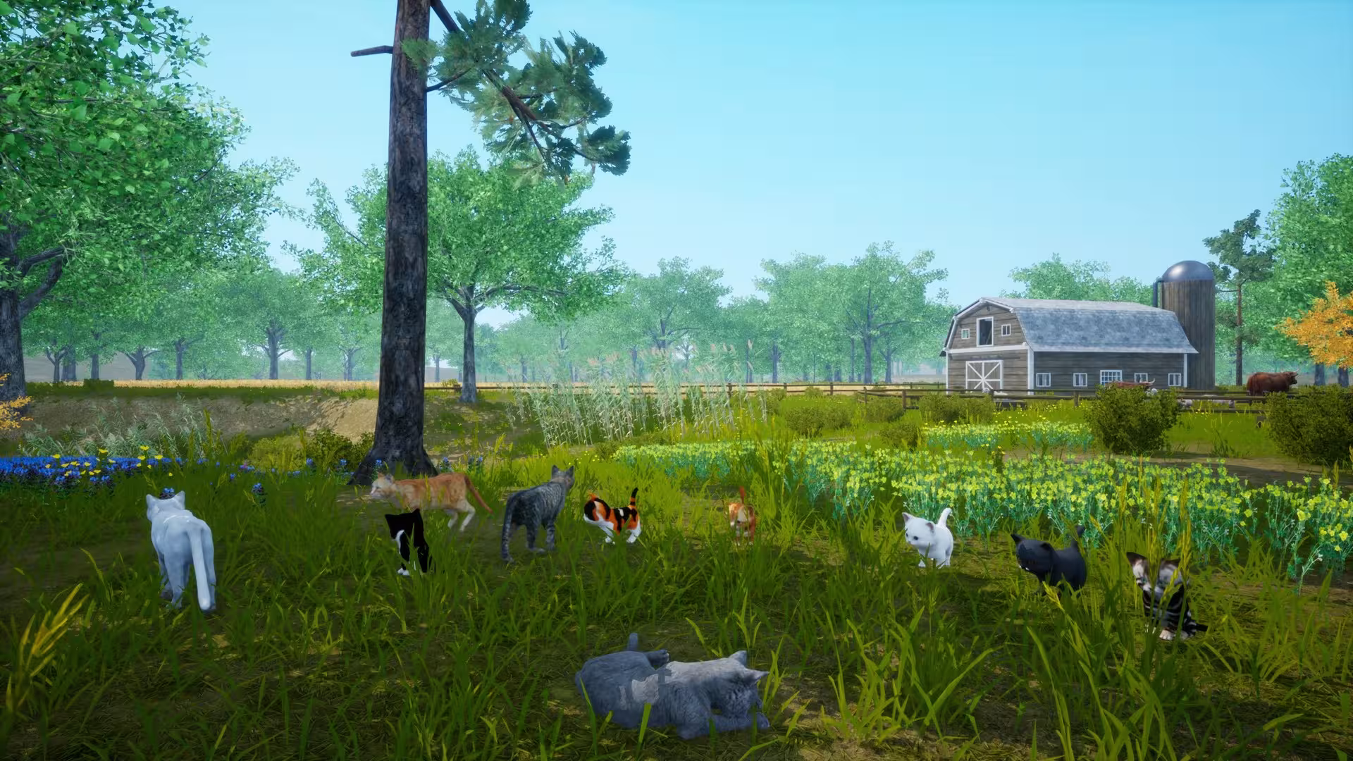 猫模拟器/Cat Simulator-5 猫模拟器/Cat Simulator-5