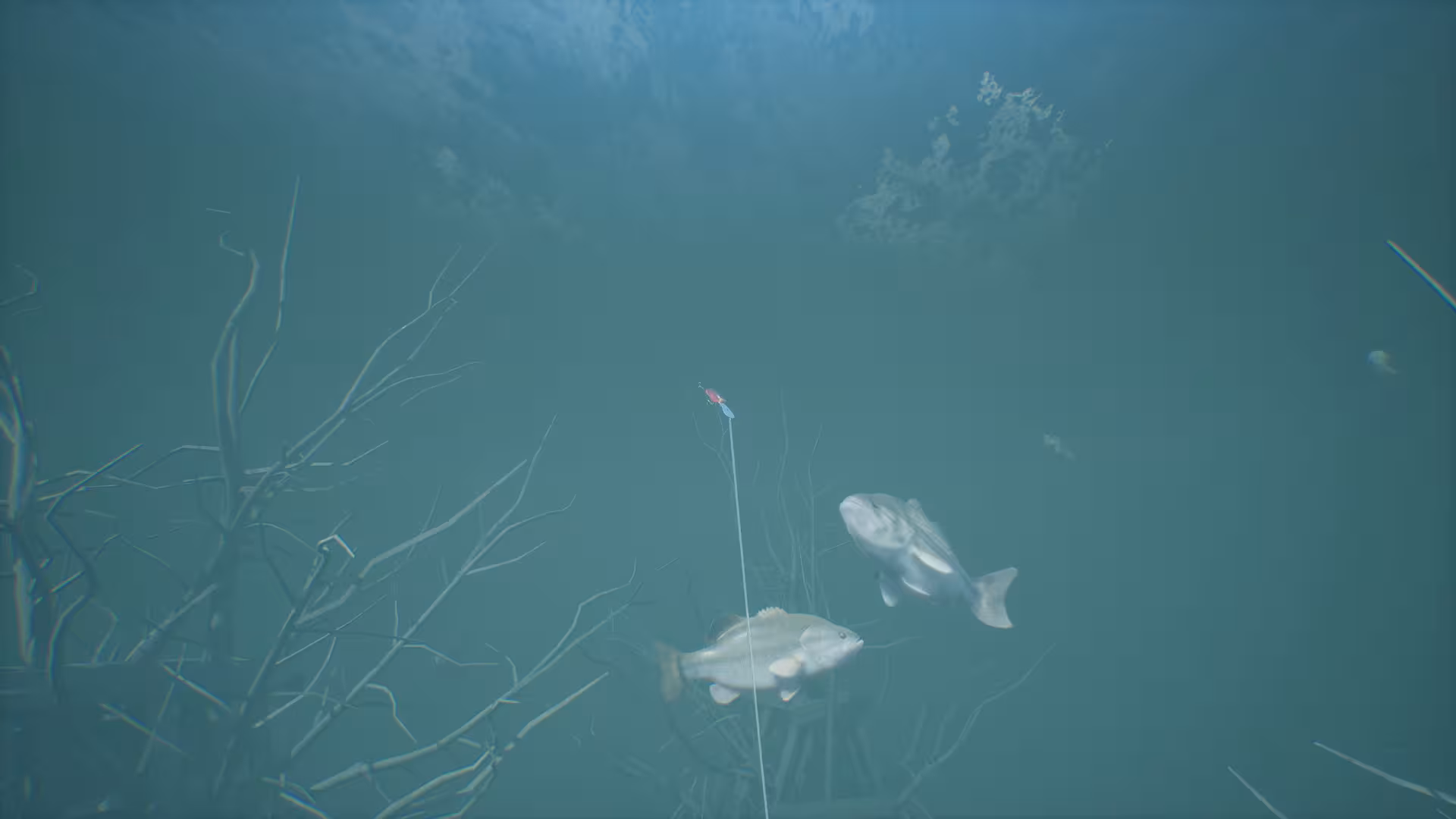 鲈鱼大师赛2022/Bassmaster Fishing 2022-8