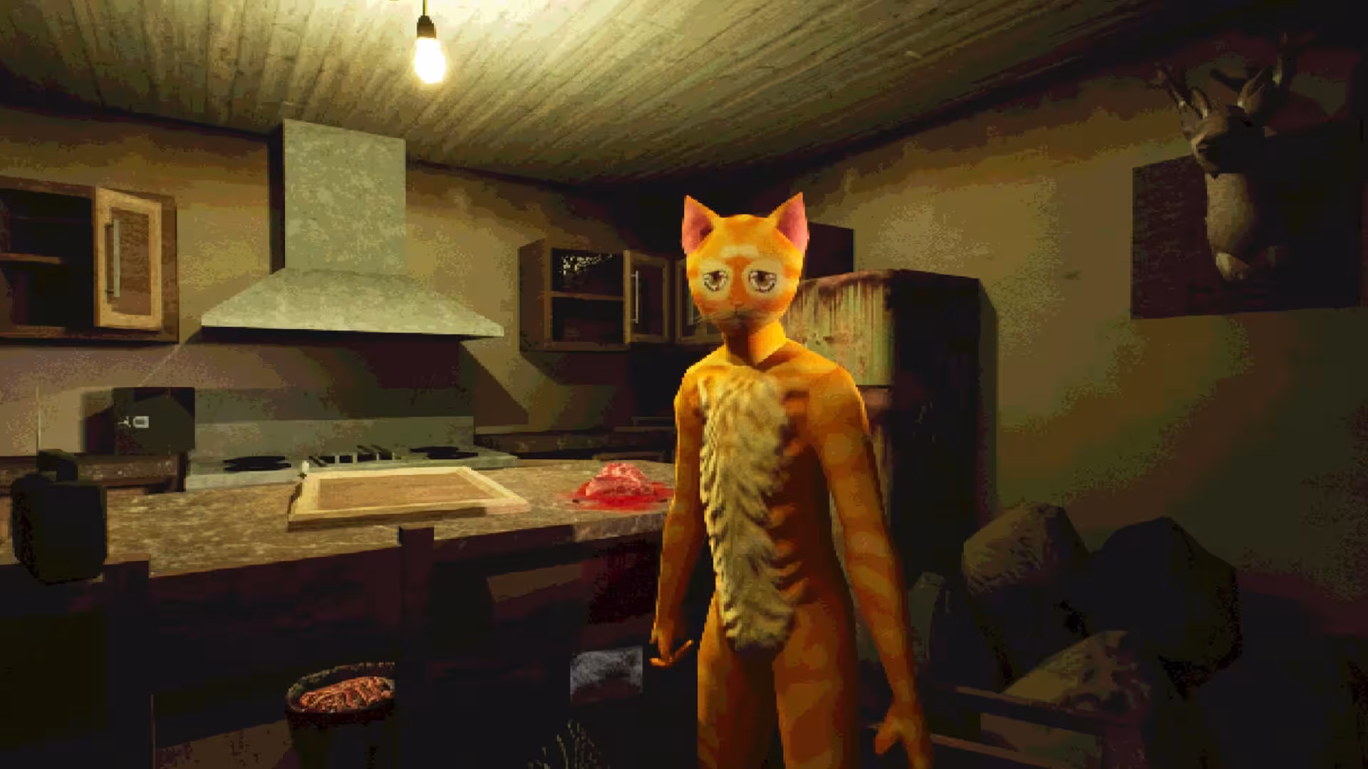 莫哈维之猫/Cat Named Mojave-1 莫哈维之猫/Cat Named Mojave-1
