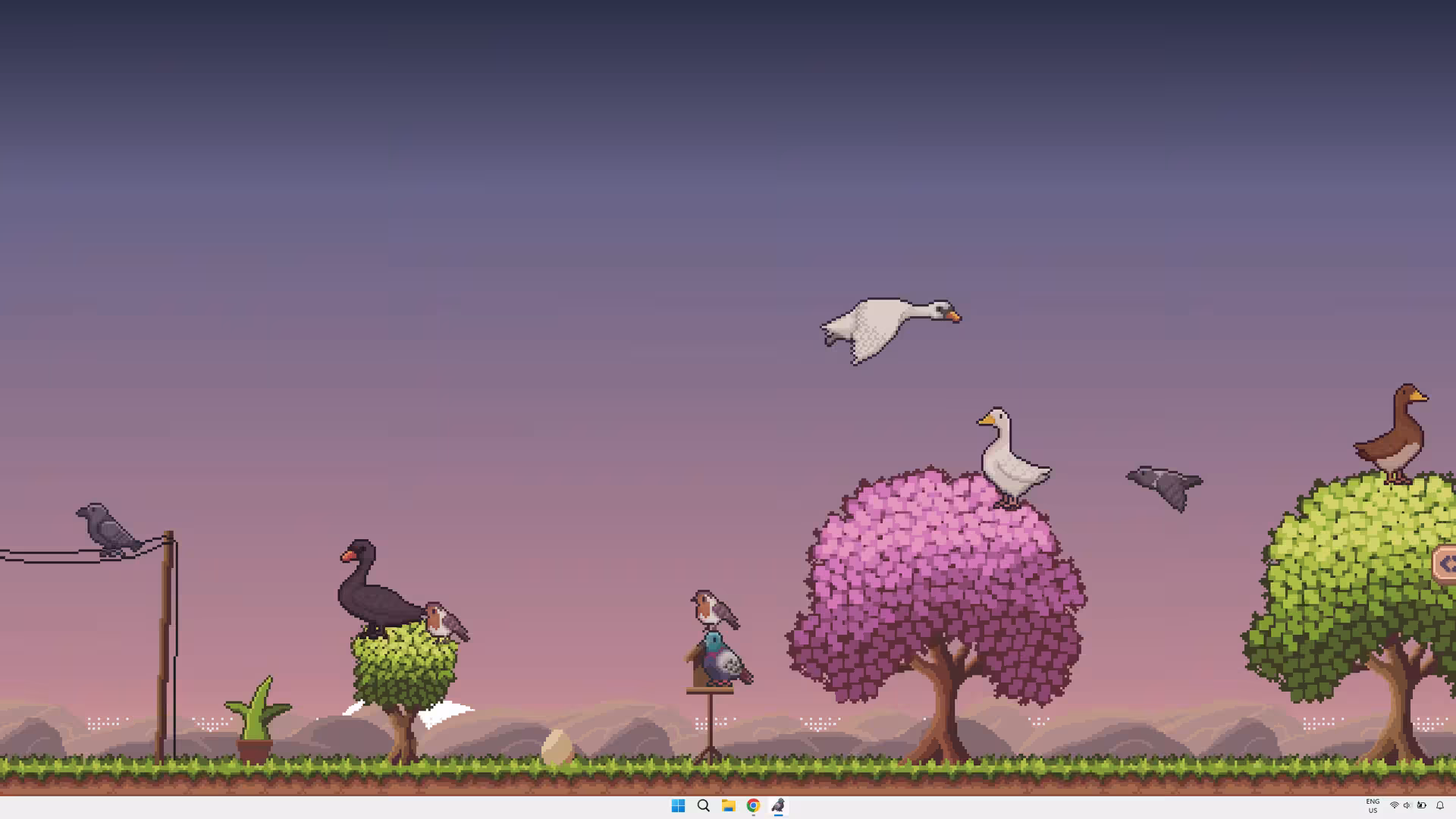 桌面鸟舍：小小鸟陪你摸大鱼/Little Aviary-5