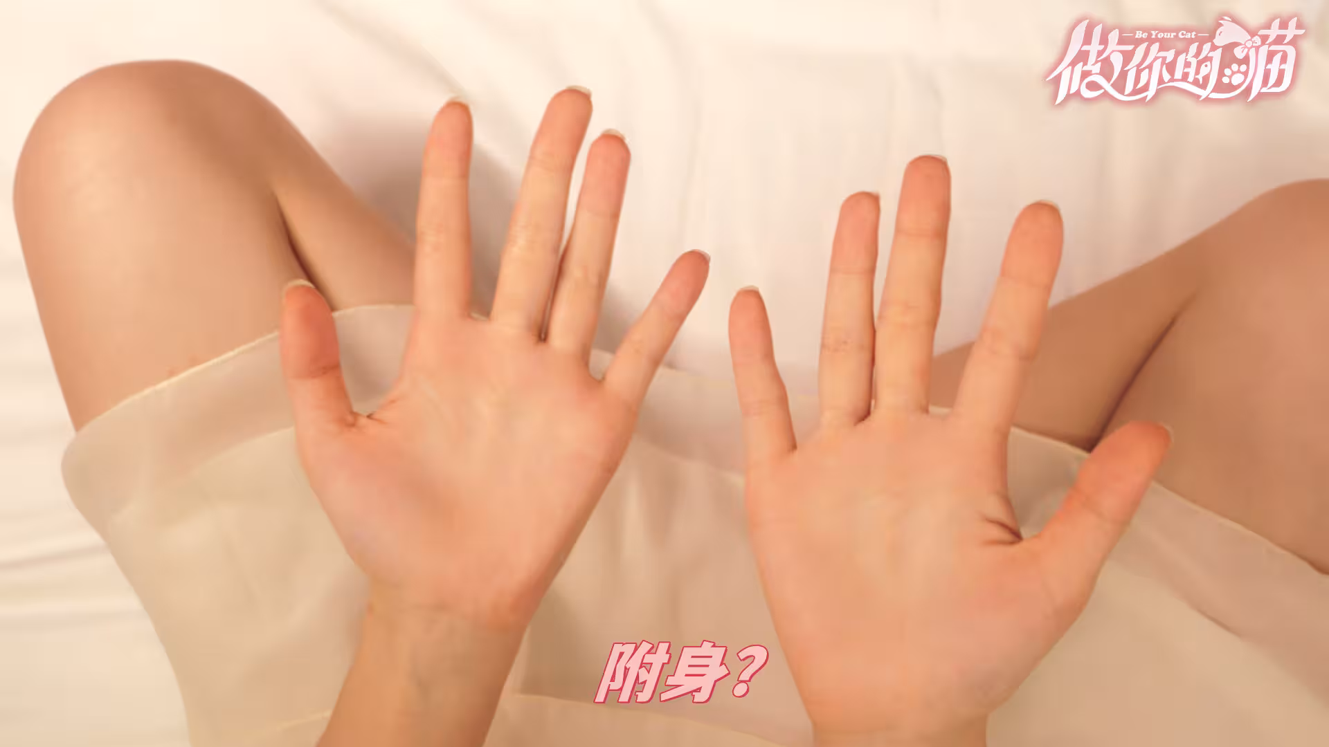 做你的猫/BeYourCat-2 做你的猫/BeYourCat-2