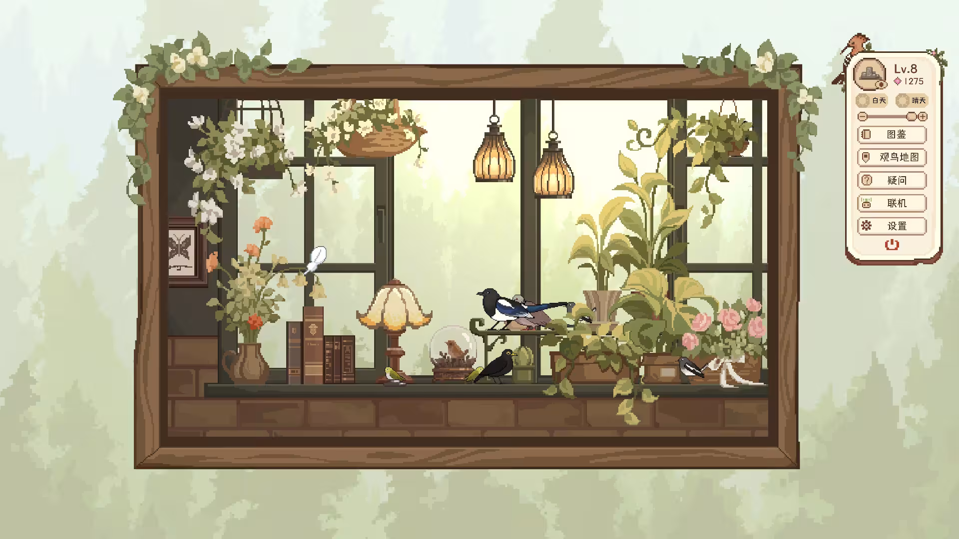 观鸟笔记/Birdwatching Notebook-2