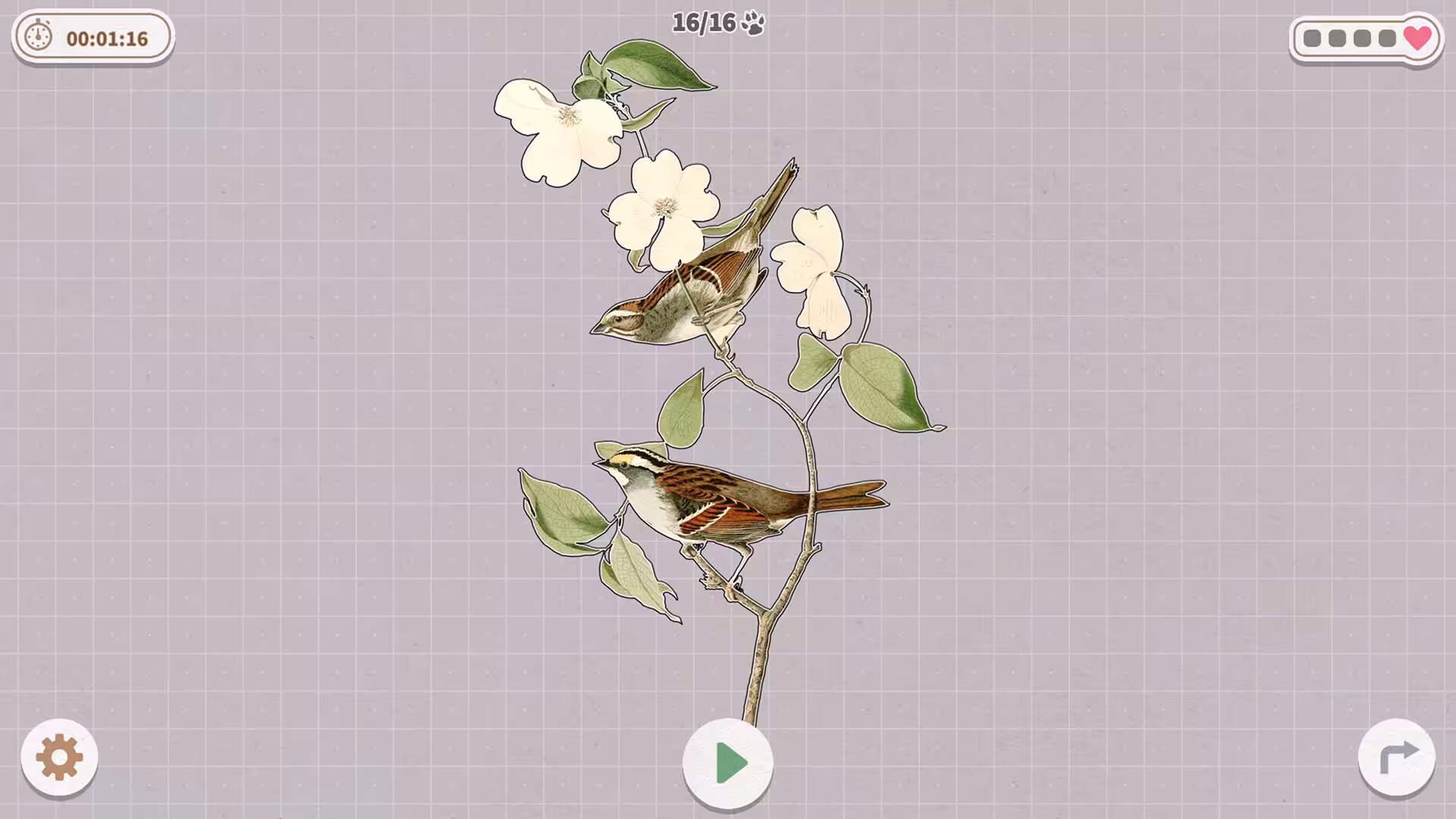 挤在一起的鸟鸟/Birds Huddled Together-4 挤在一起的鸟鸟/Birds Huddled Together-4