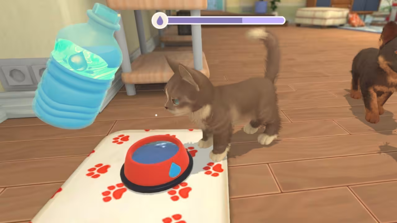 我的世界：小狗和小猫/My Universe - Puppies & Kittens-5