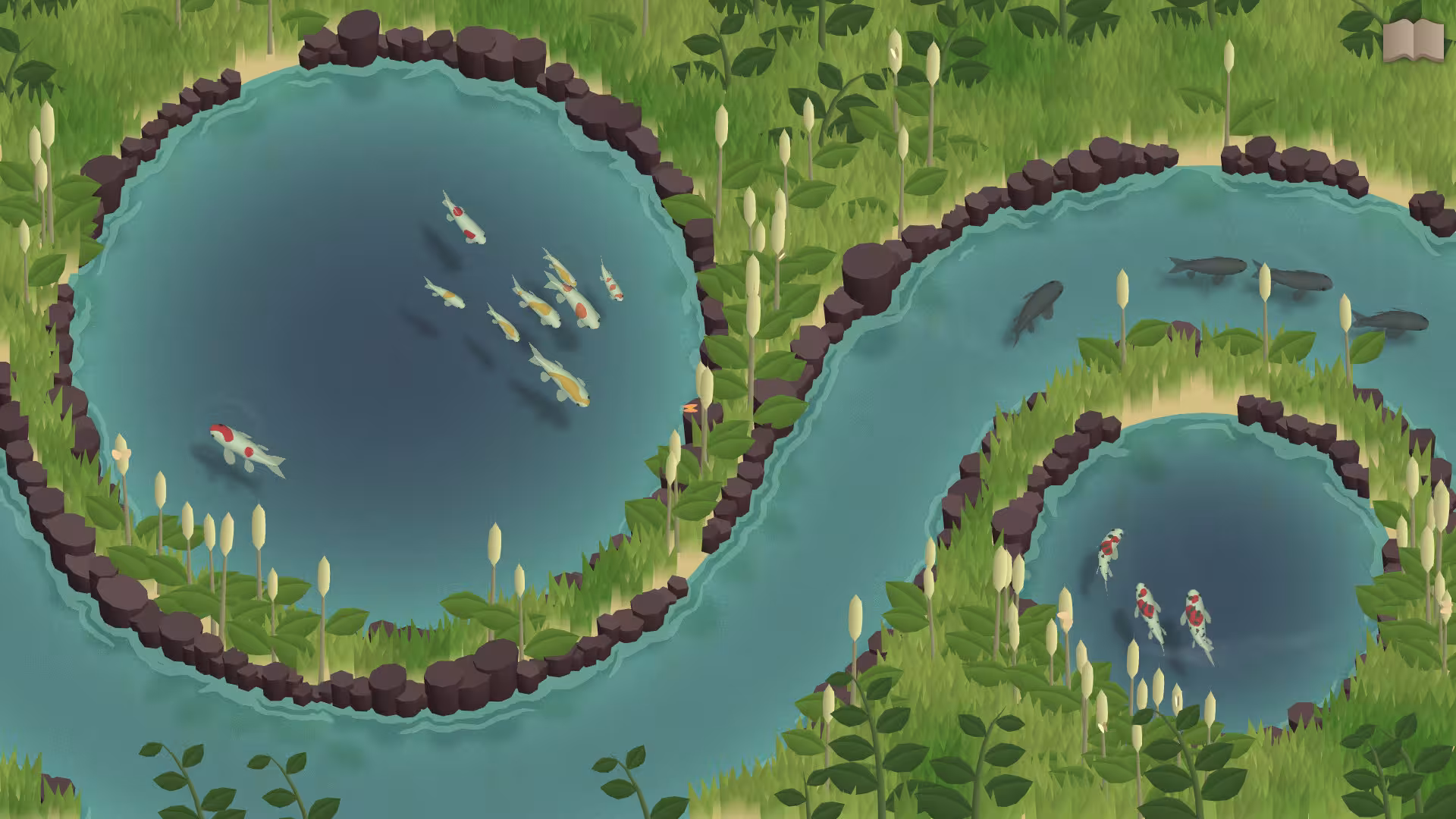 锦鲤养殖场/Koi Farm-1 锦鲤养殖场/Koi Farm-1