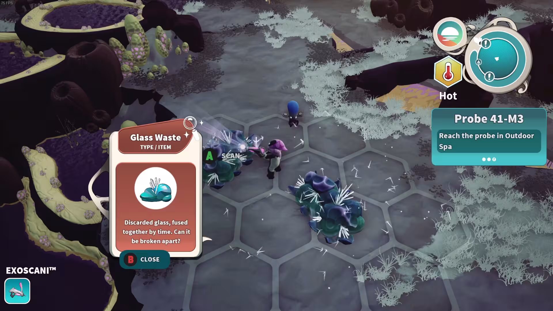 远花/Distant Bloom-2 远花/Distant Bloom-2