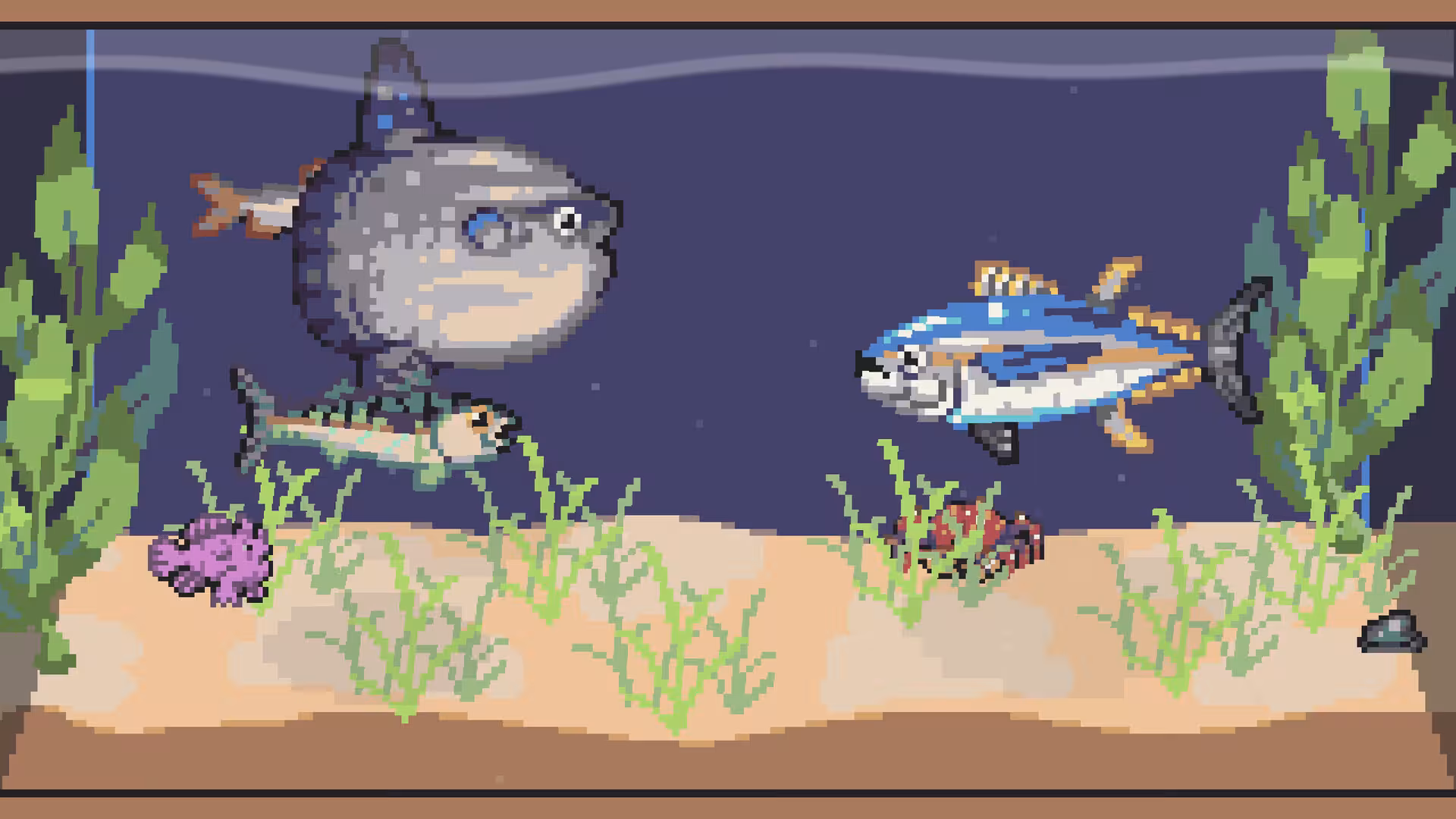 渔诱水族馆/Lured In-3
