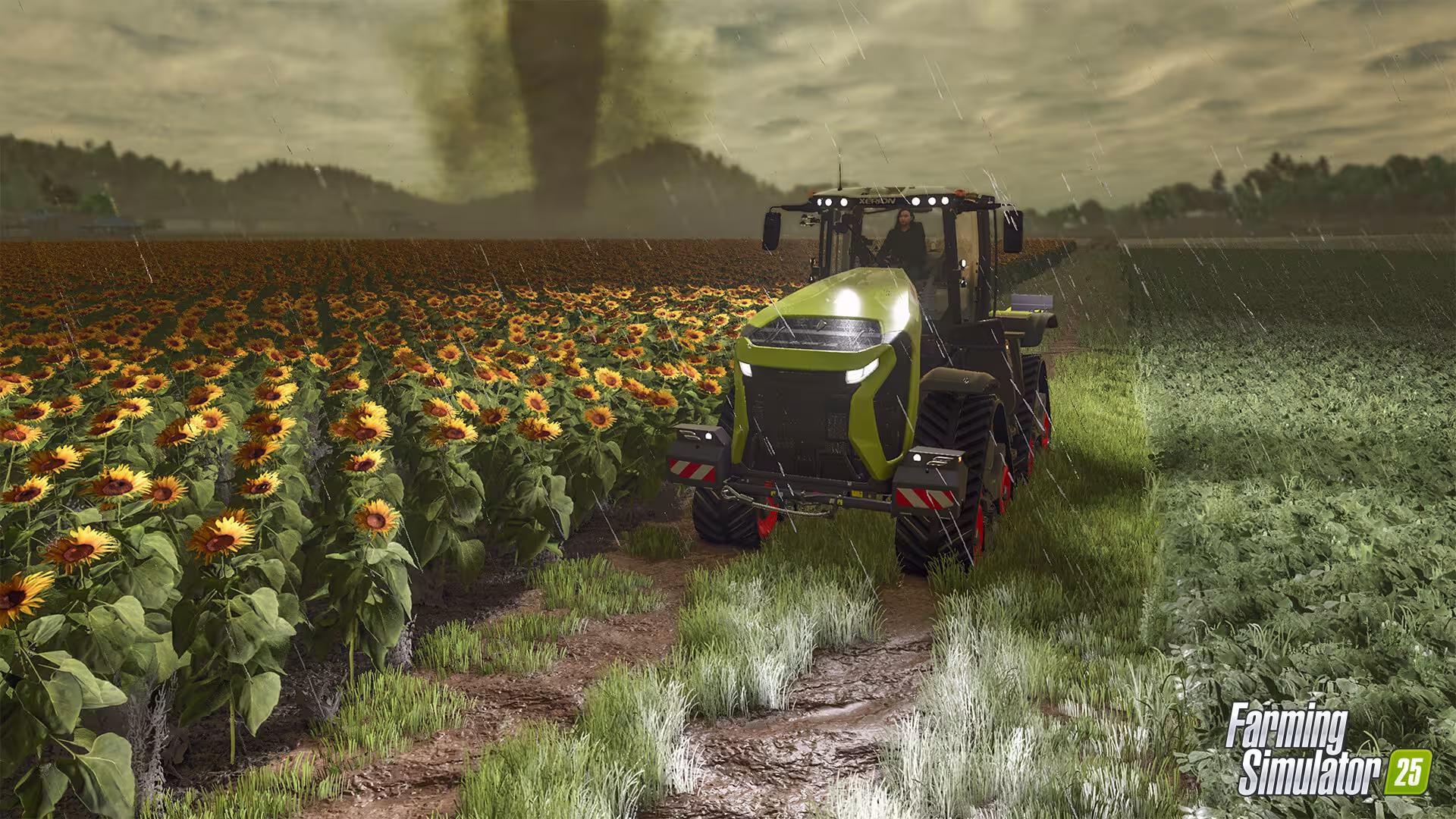 模拟农场25/Farming Simulator 25-3