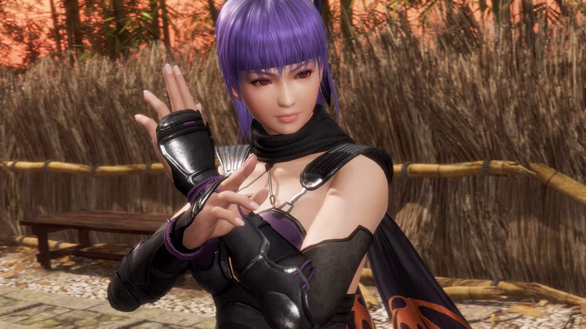 死或生6：最后一战/DEAD OR ALIVE 6 Last Round-3