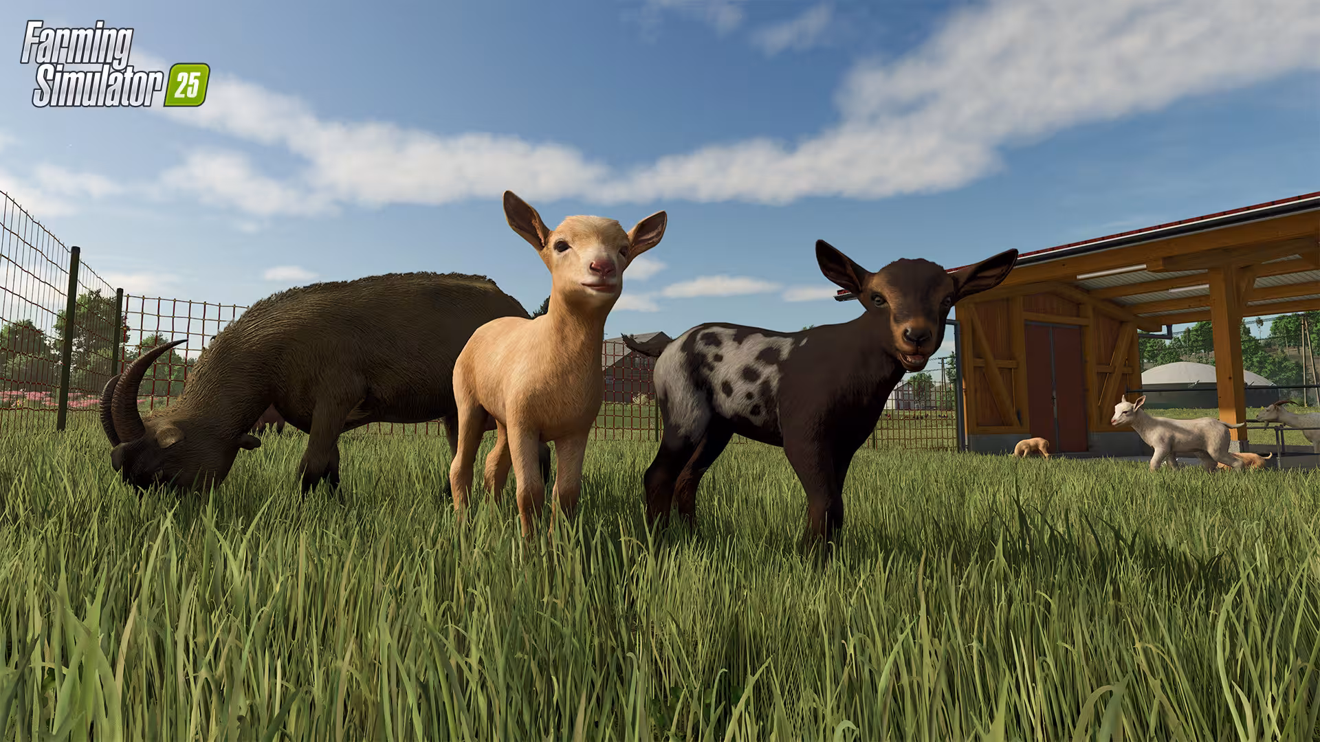 模拟农场25/Farming Simulator 25-4