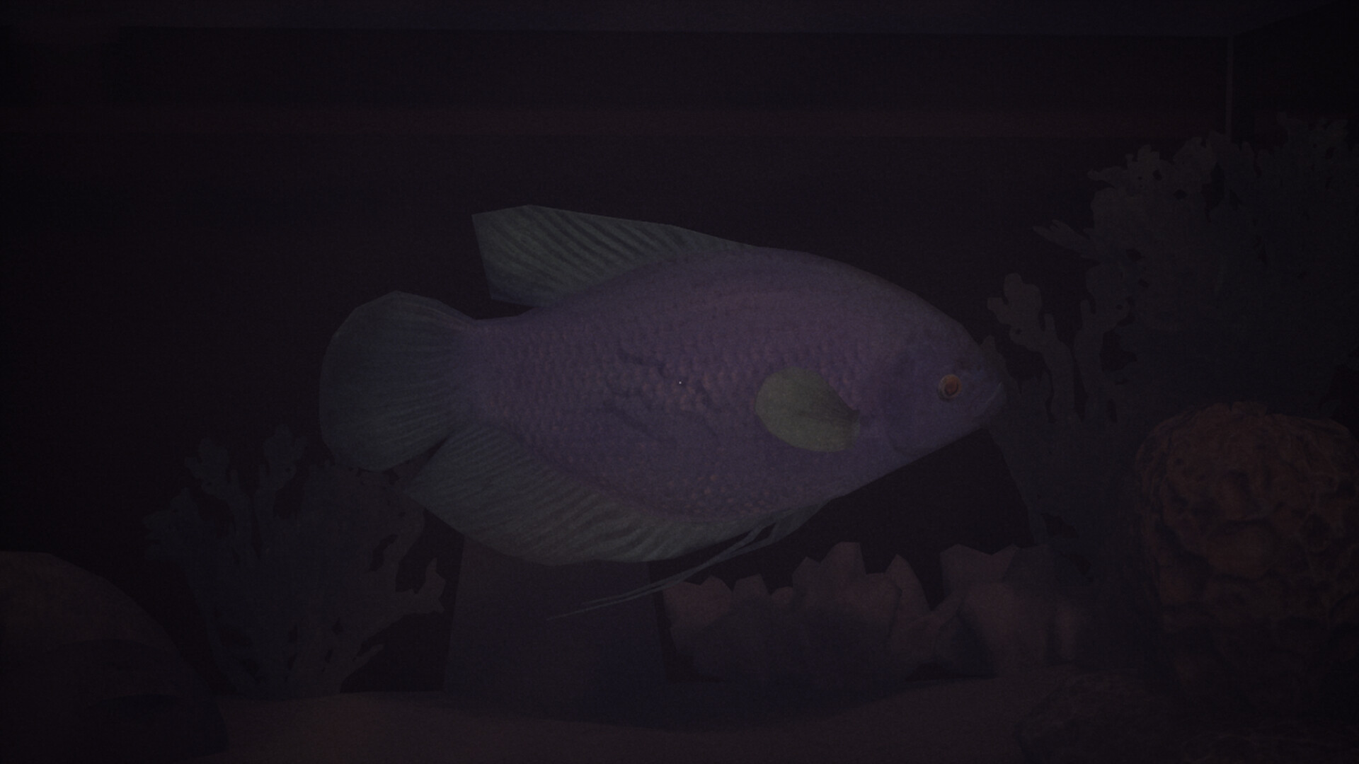哈鲁:金鱼/Halu - The Fish-6 哈鲁:金鱼/Halu - The Fish-6
