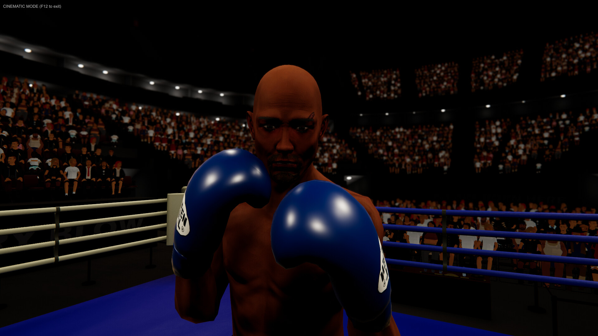 拳台王者:拳击大亨/Corner King: Boxing Tycoon-5 拳台王者:拳击大亨/Corner King: Boxing Tycoon-5