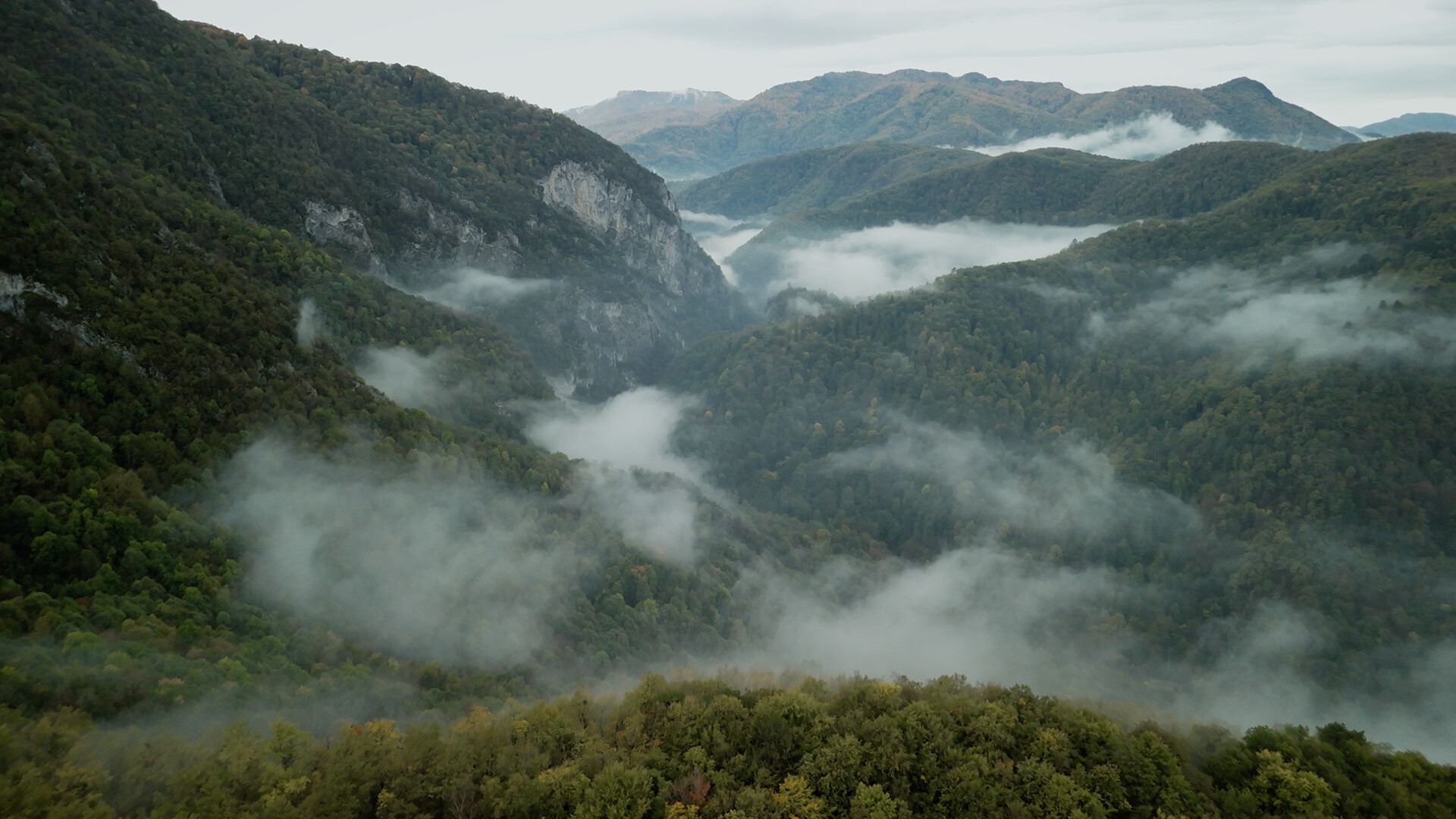 无言之林/Wordless Forest-4 无言之林/Wordless Forest-4
