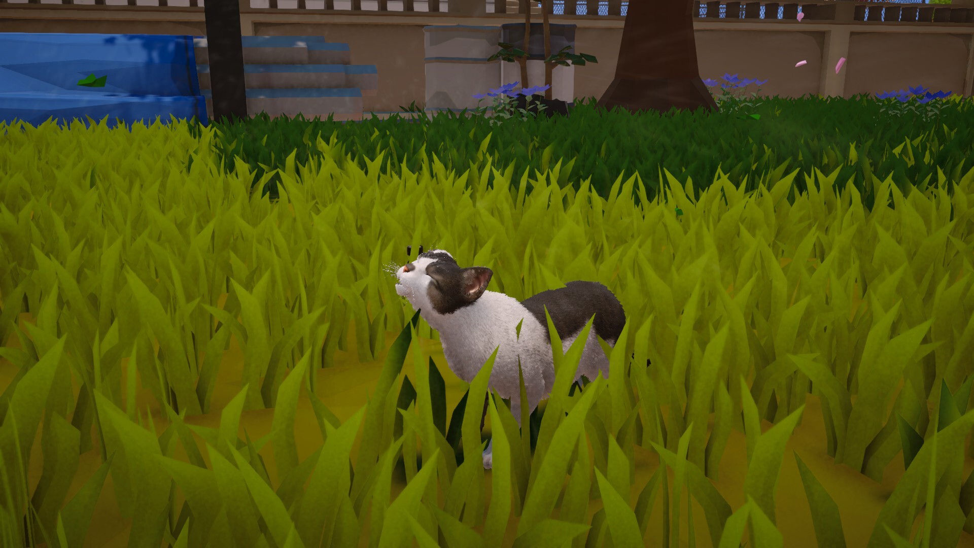 喵米:都市猫咪大乱/MEOWMI: City Cat Chaos-6 喵米:都市猫咪大乱/MEOWMI: City Cat Chaos-6