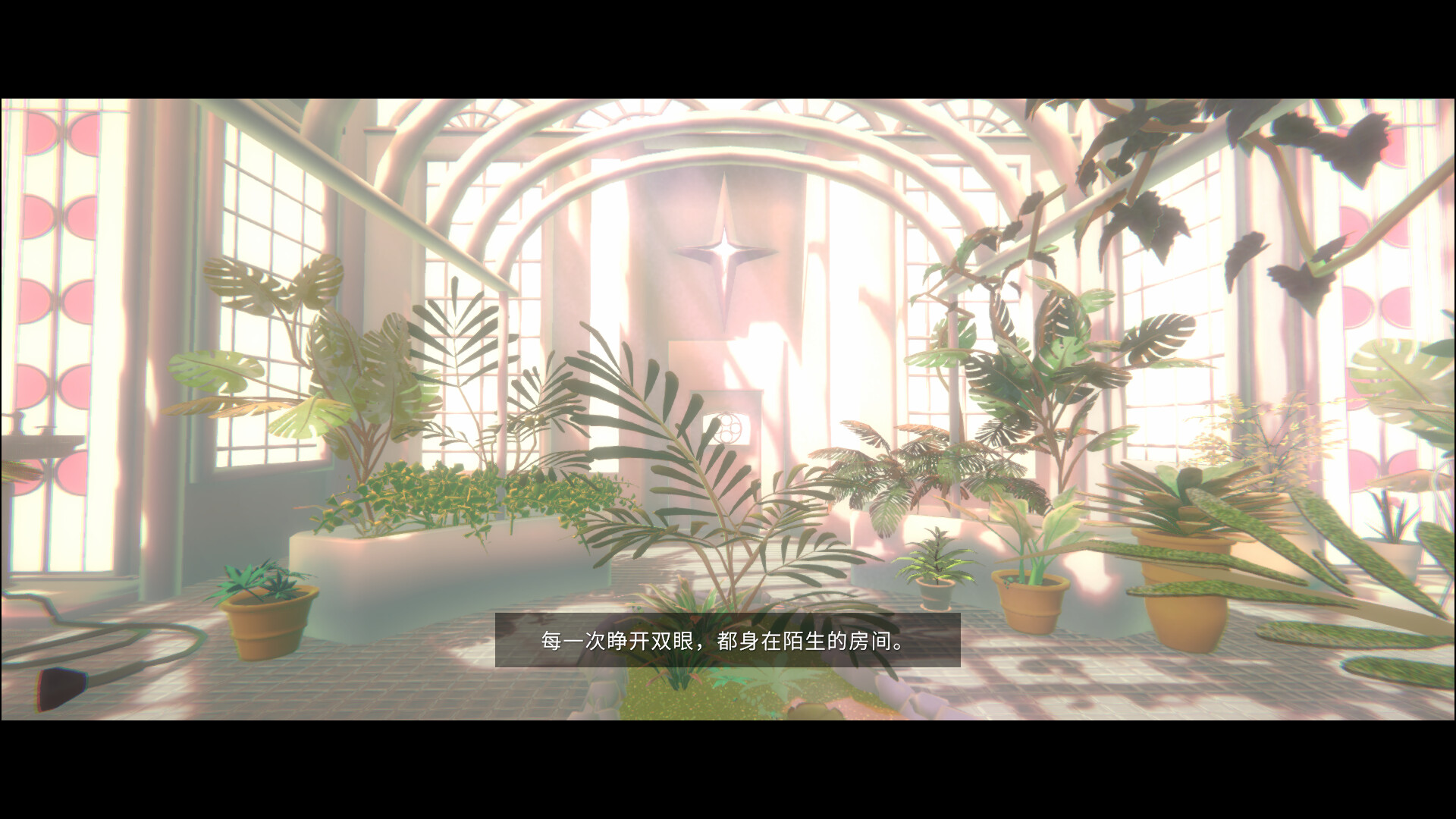 柏拉图深空/PLATONICA SPACE-4