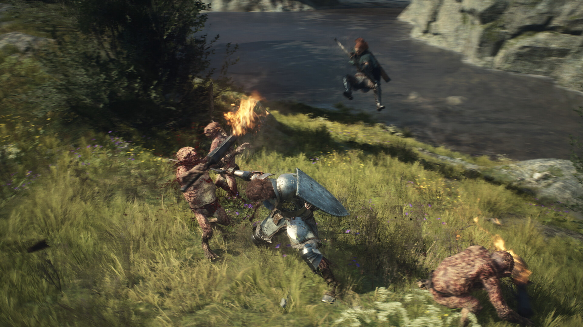 龙之信条2/Dragon's Dogma 2『移除D加密』-3