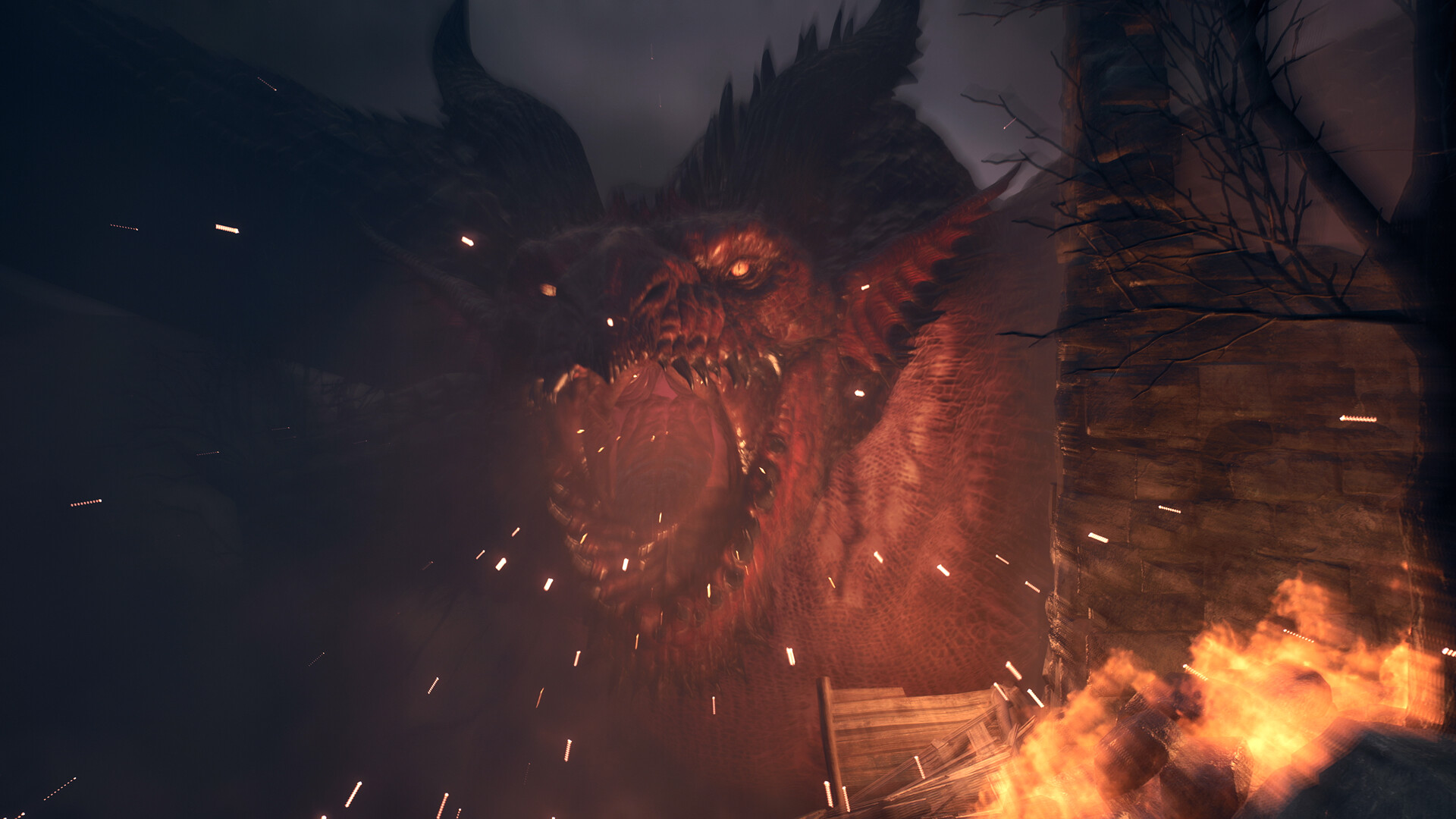 龙之信条2/Dragon's Dogma 2『移除D加密』-2