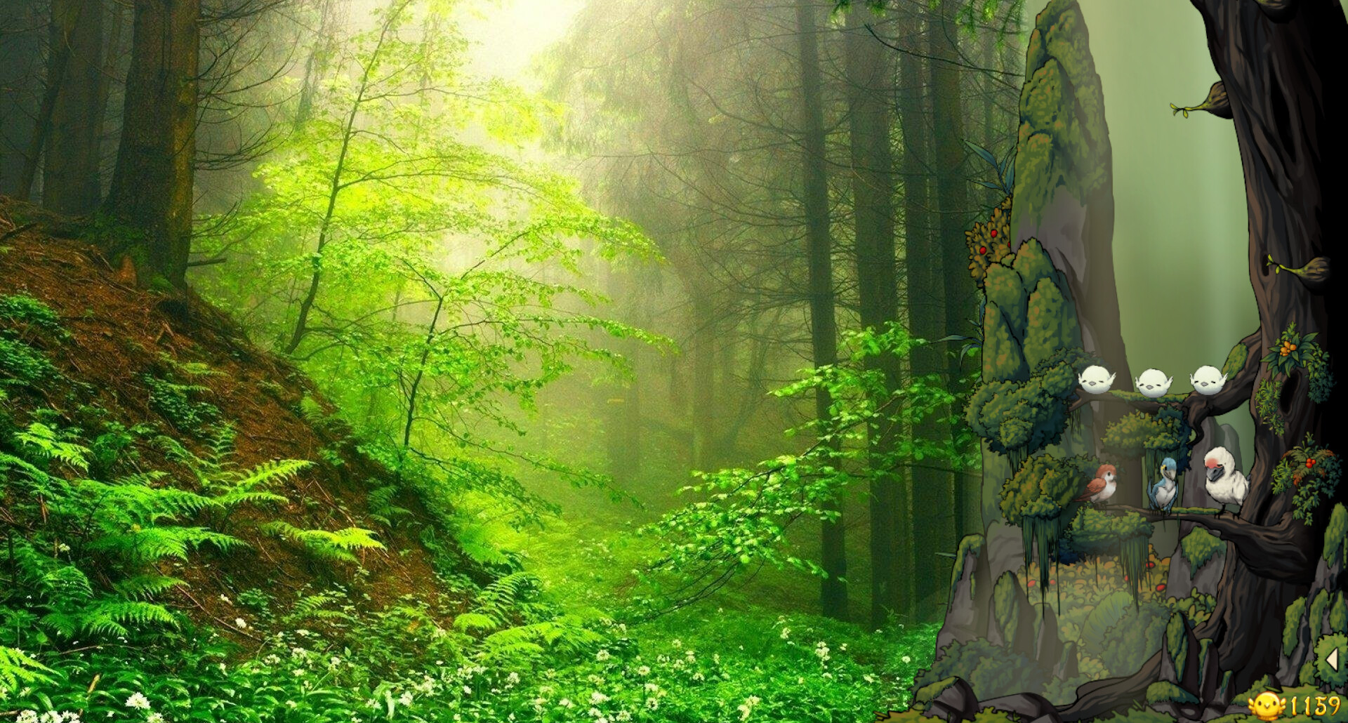 幻鸟之森/Fantasy Bird Woods-1 幻鸟之森/Fantasy Bird Woods-1