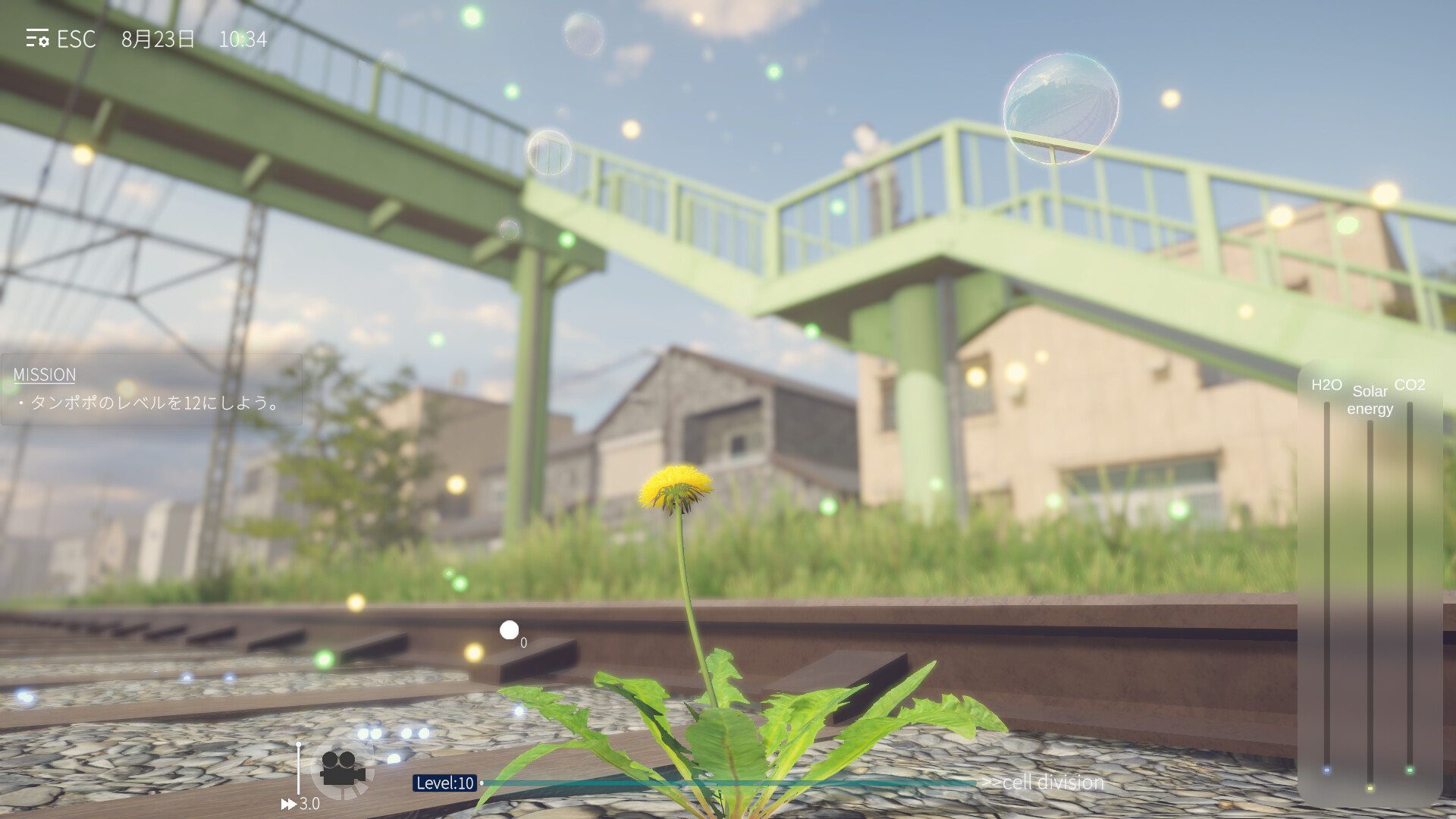 蒲公英不屈。/The Dandelion Endures.-4 蒲公英不屈。/The Dandelion Endures.-4