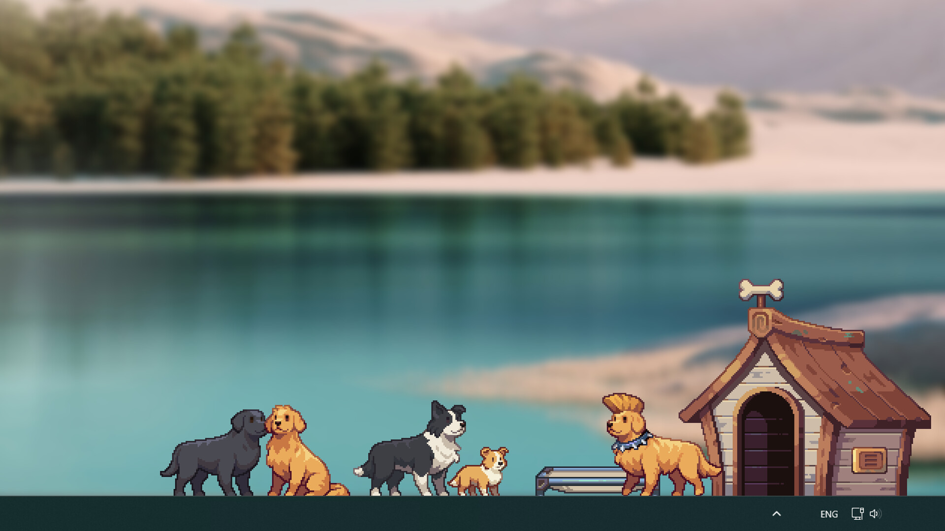 狗/Dog-1 狗/Dog-1