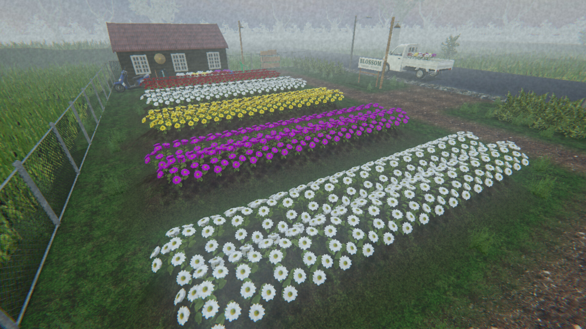 绽花/Unfold Flower-12 绽花/Unfold Flower-12