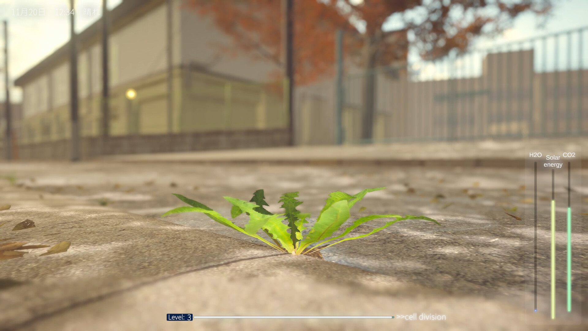 蒲公英不屈。/The Dandelion Endures.-1 蒲公英不屈。/The Dandelion Endures.-1