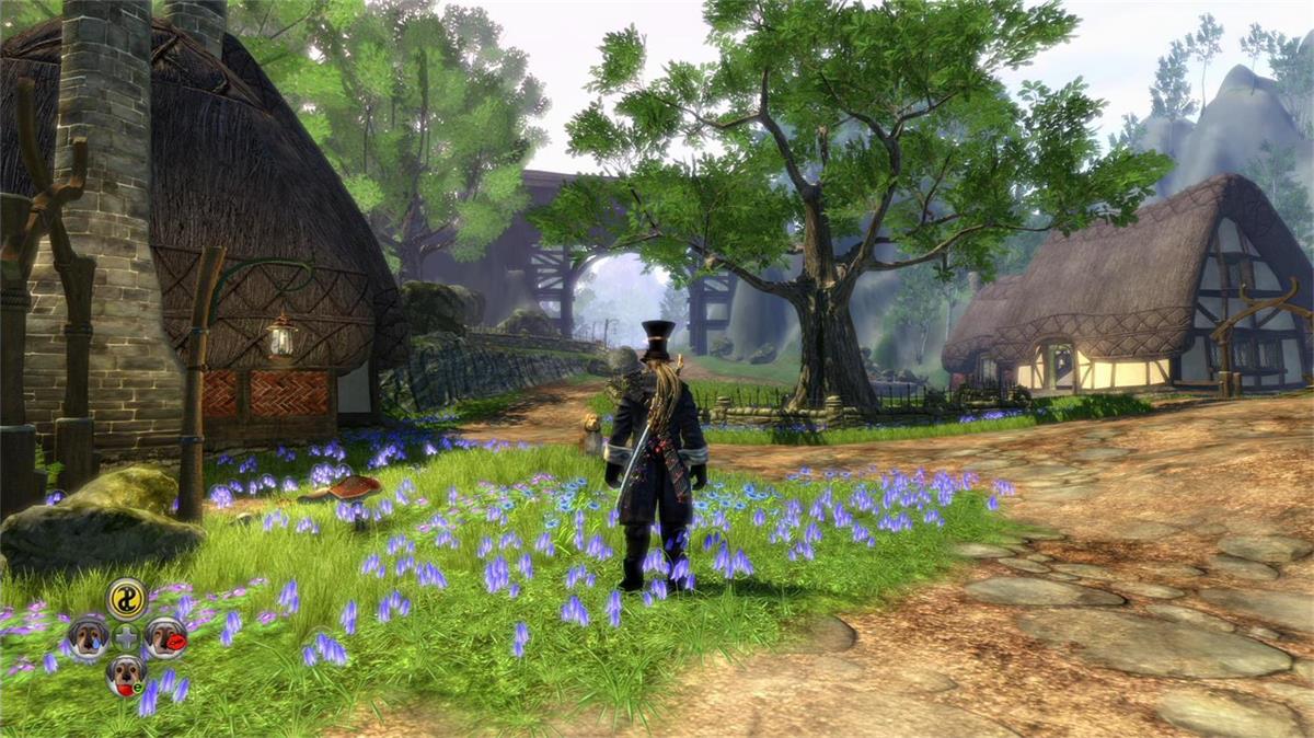 神鬼寓言2：年度版/Fable II: Game of the Year Edition-1