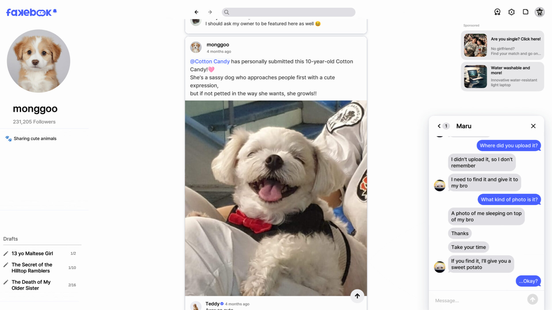 假书/FAKEBOOK-1 假书/FAKEBOOK-1