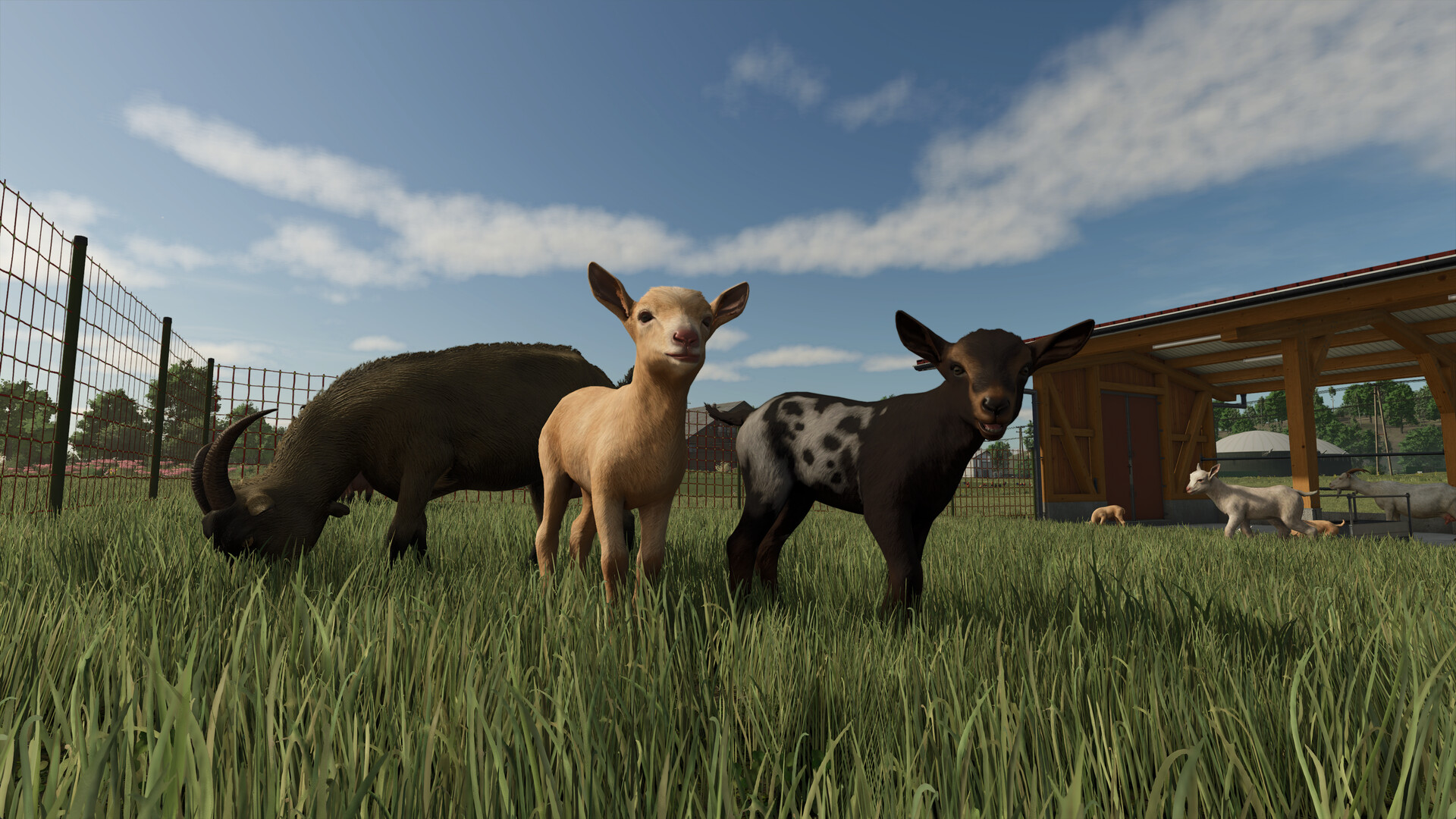 模拟农场25/Farming Simulator 25-2