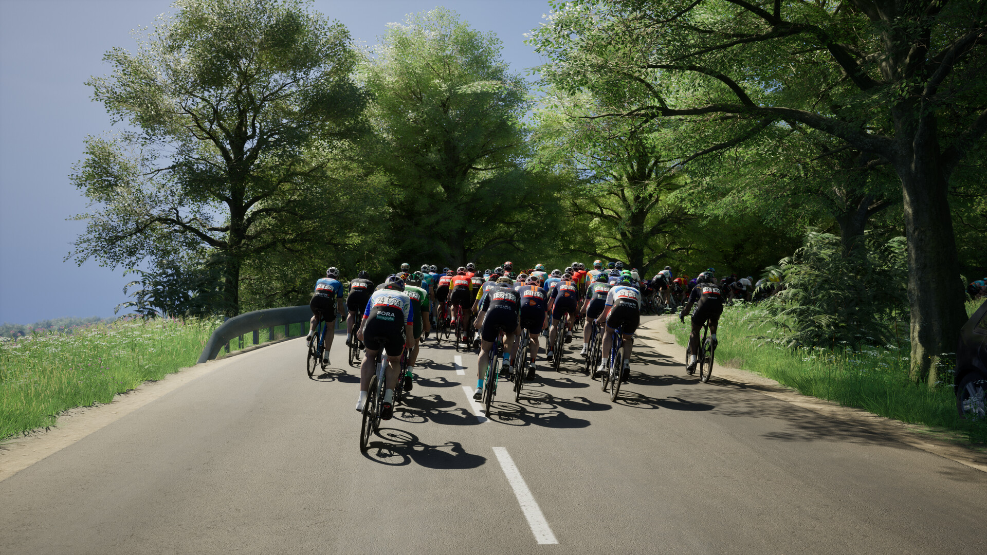 职业自行车队经理26/Pro Cycling Manager 26-9