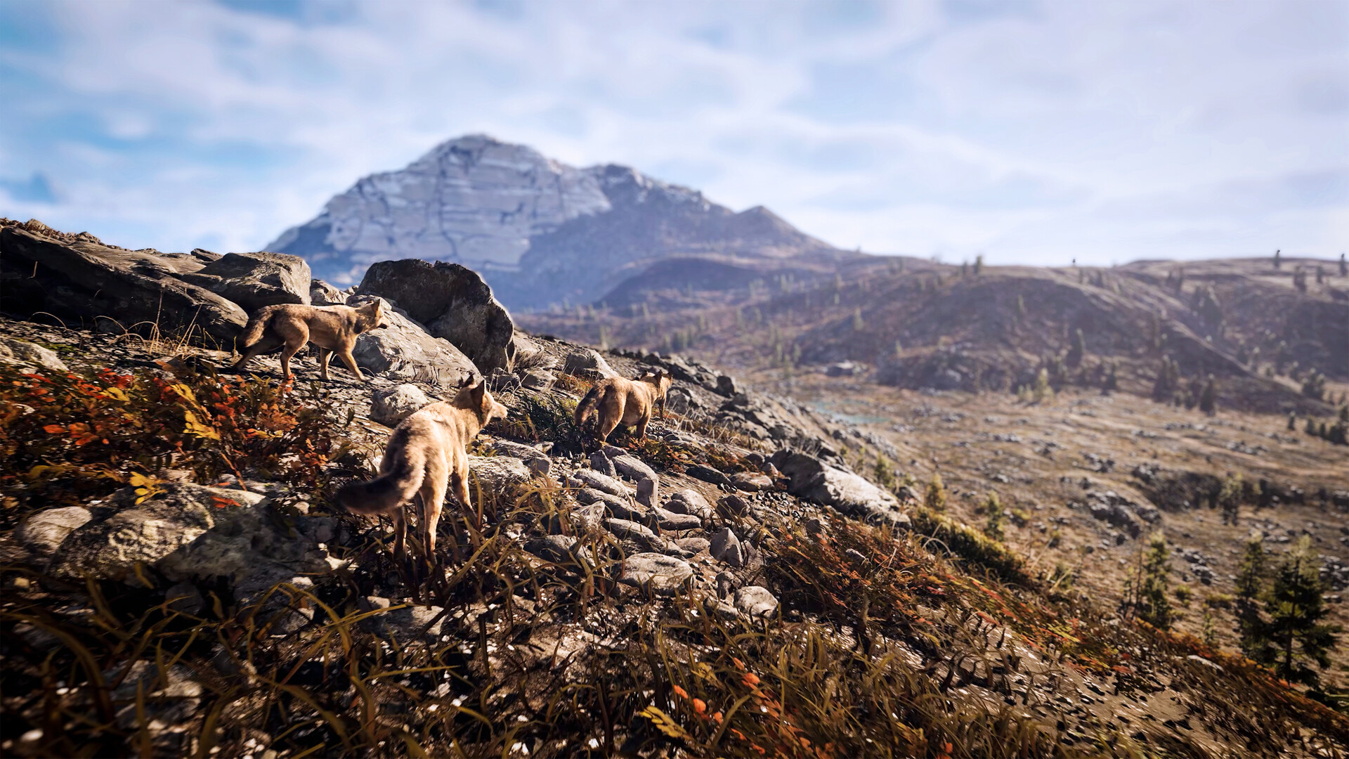 狩猎模拟3/Hunting Simulator 3-8 狩猎模拟3/Hunting Simulator 3-8