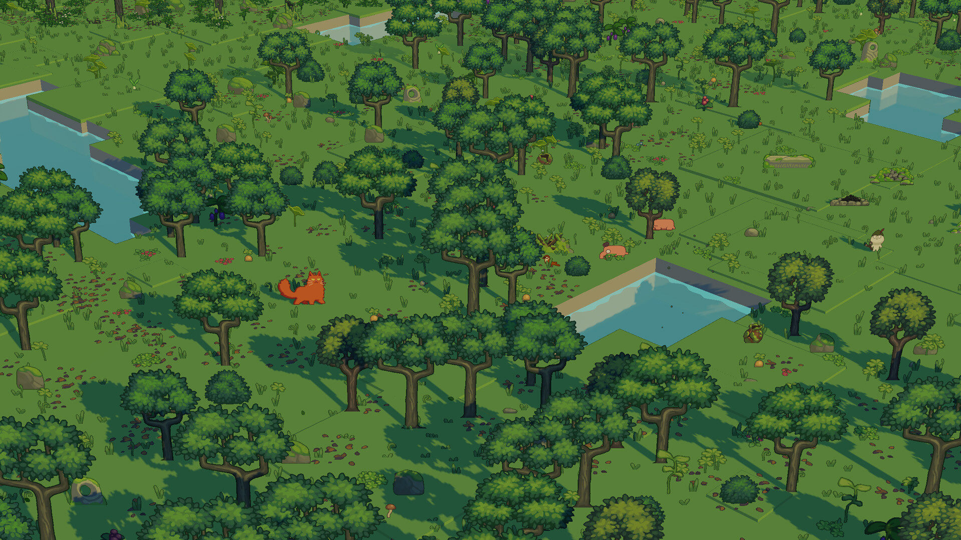 小小领地/The Little Land-6 小小领地/The Little Land-6