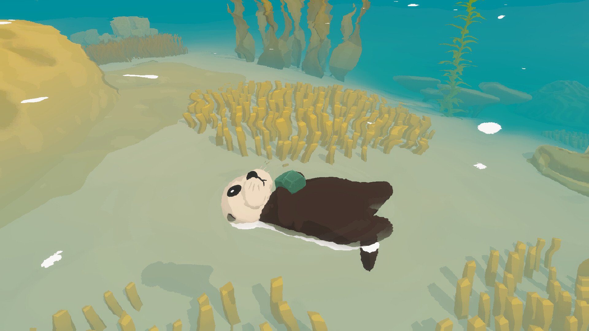迷途海獭/Otterly Lost-9 迷途海獭/Otterly Lost-9