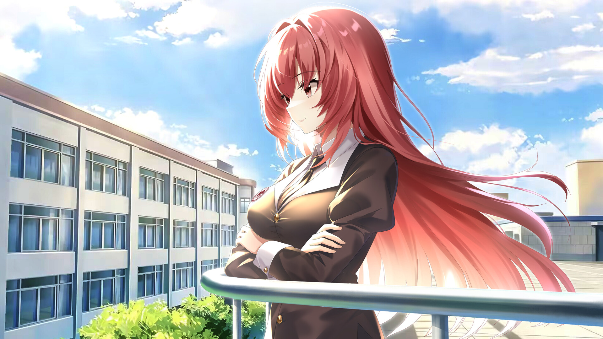 道之华隐/DaoNoKa hide-11