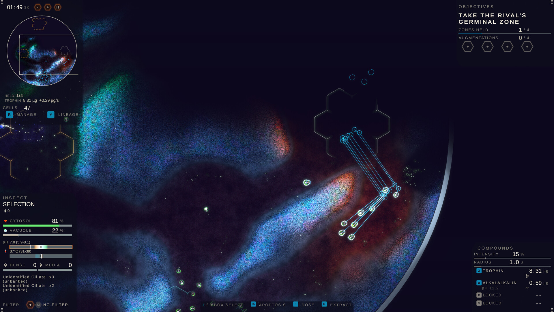 基质：涌现/Substrate: Emergence-4