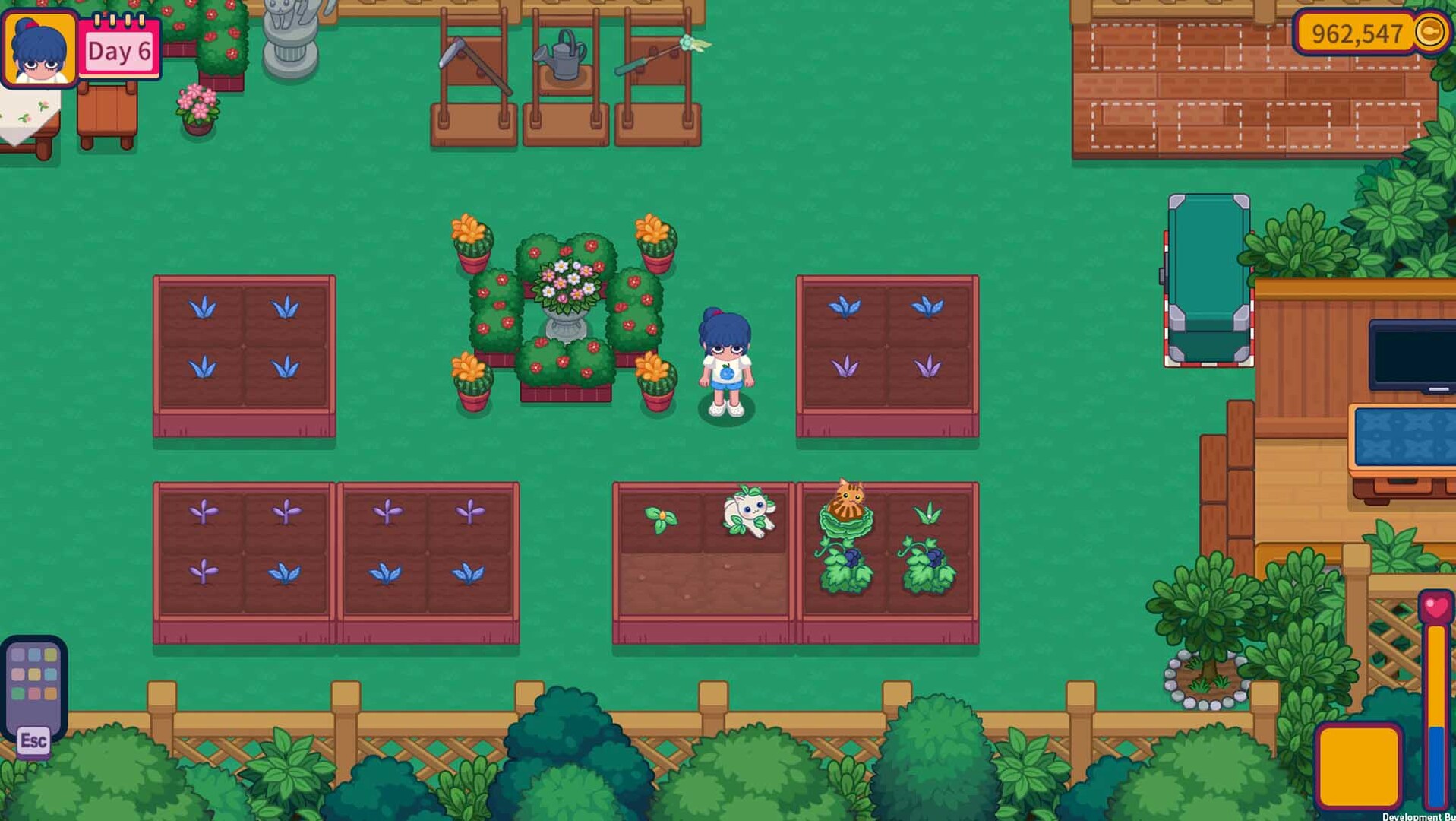 猫咪花园/Meow Garden-6 猫咪花园/Meow Garden-6