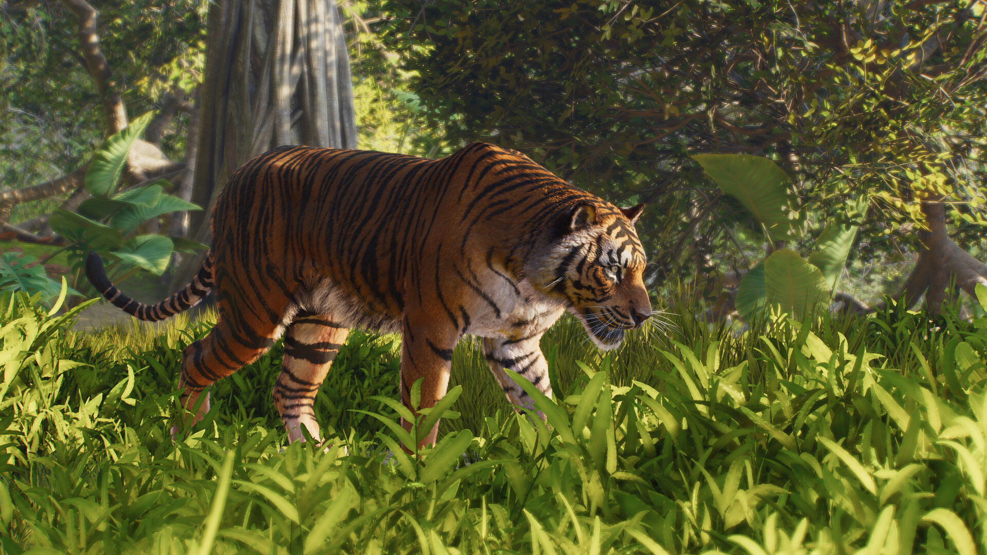 动物园之星2-虚拟机版/Planet Zoo 2 HYPERVISOR-6
