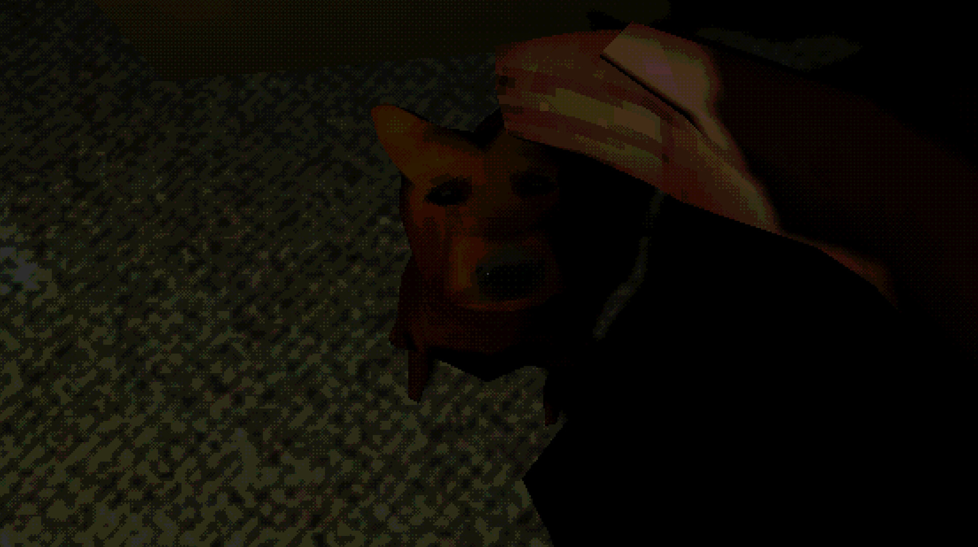 狗狗的记忆/What The Dog Remembers-5